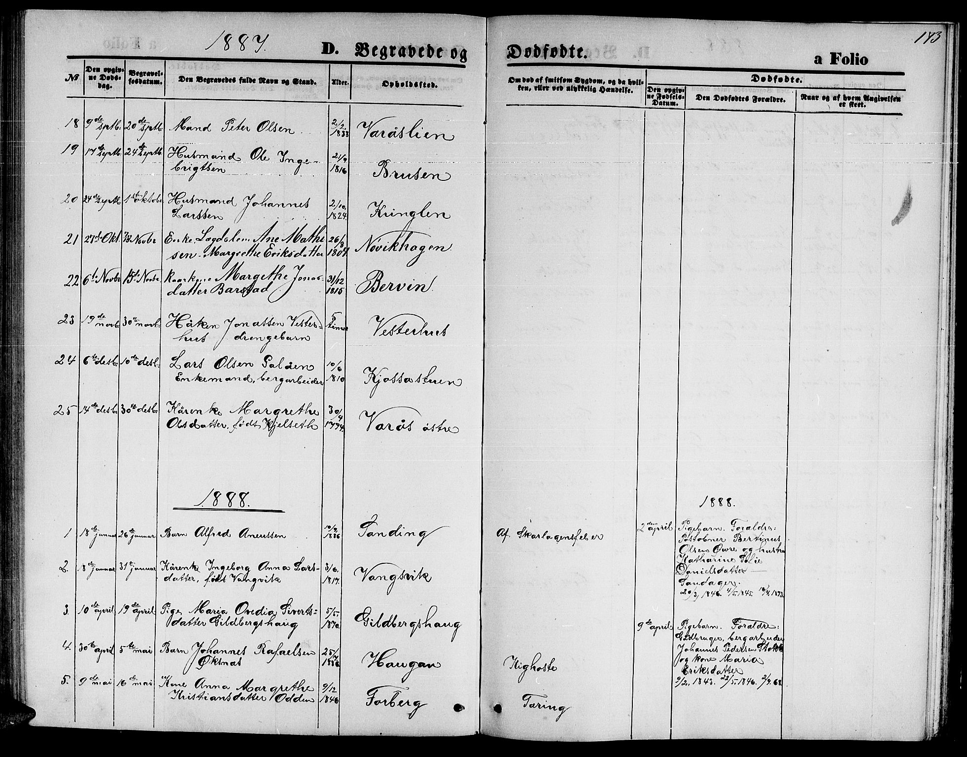 Ministerialprotokoller, klokkerbøker og fødselsregistre - Nord-Trøndelag, SAT/A-1458/722/L0225: Parish register (copy) no. 722C01, 1871-1888, p. 173