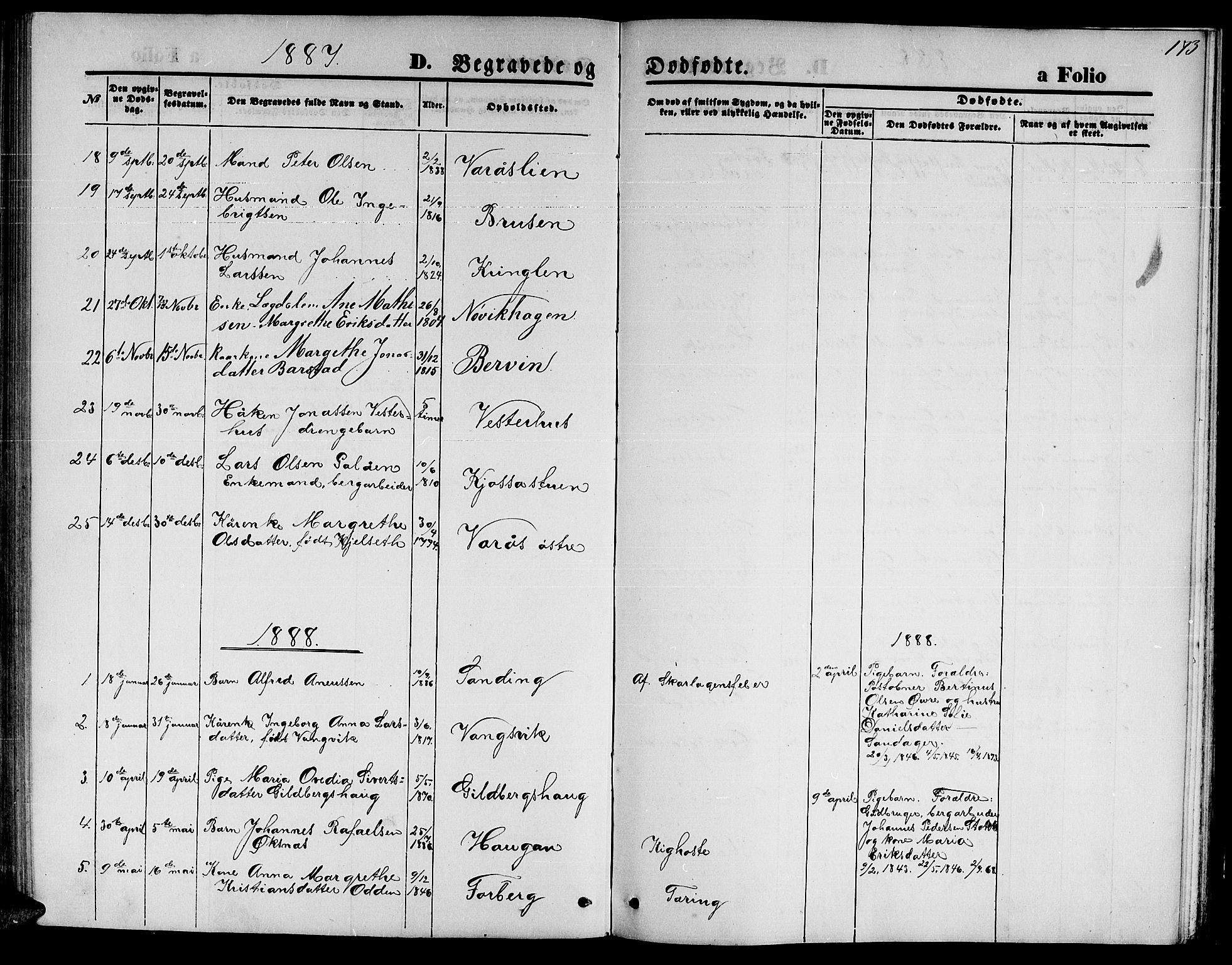 Ministerialprotokoller, klokkerbøker og fødselsregistre - Nord-Trøndelag, AV/SAT-A-1458/722/L0225: Parish register (copy) no. 722C01, 1871-1888, p. 173