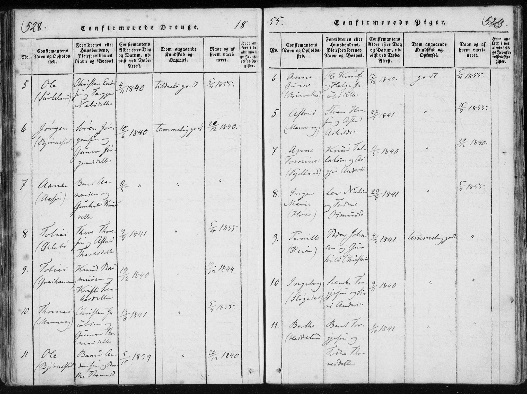 Holum sokneprestkontor, AV/SAK-1111-0022/F/Fa/Fac/L0002: Parish register (official) no. A 2, 1821-1859, p. 528-529