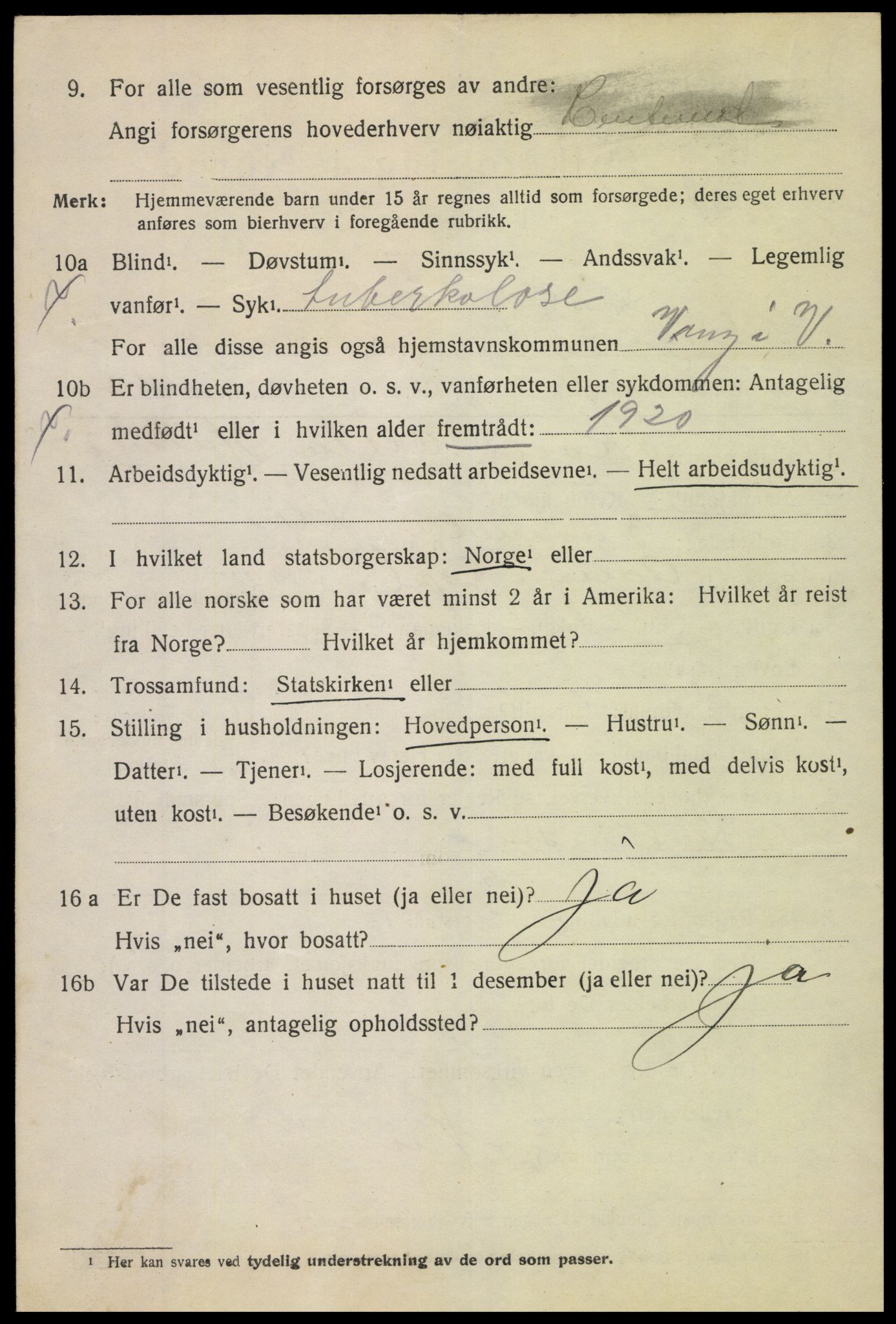 SAH, 1920 census for Vang (Oppland), 1920, p. 1346