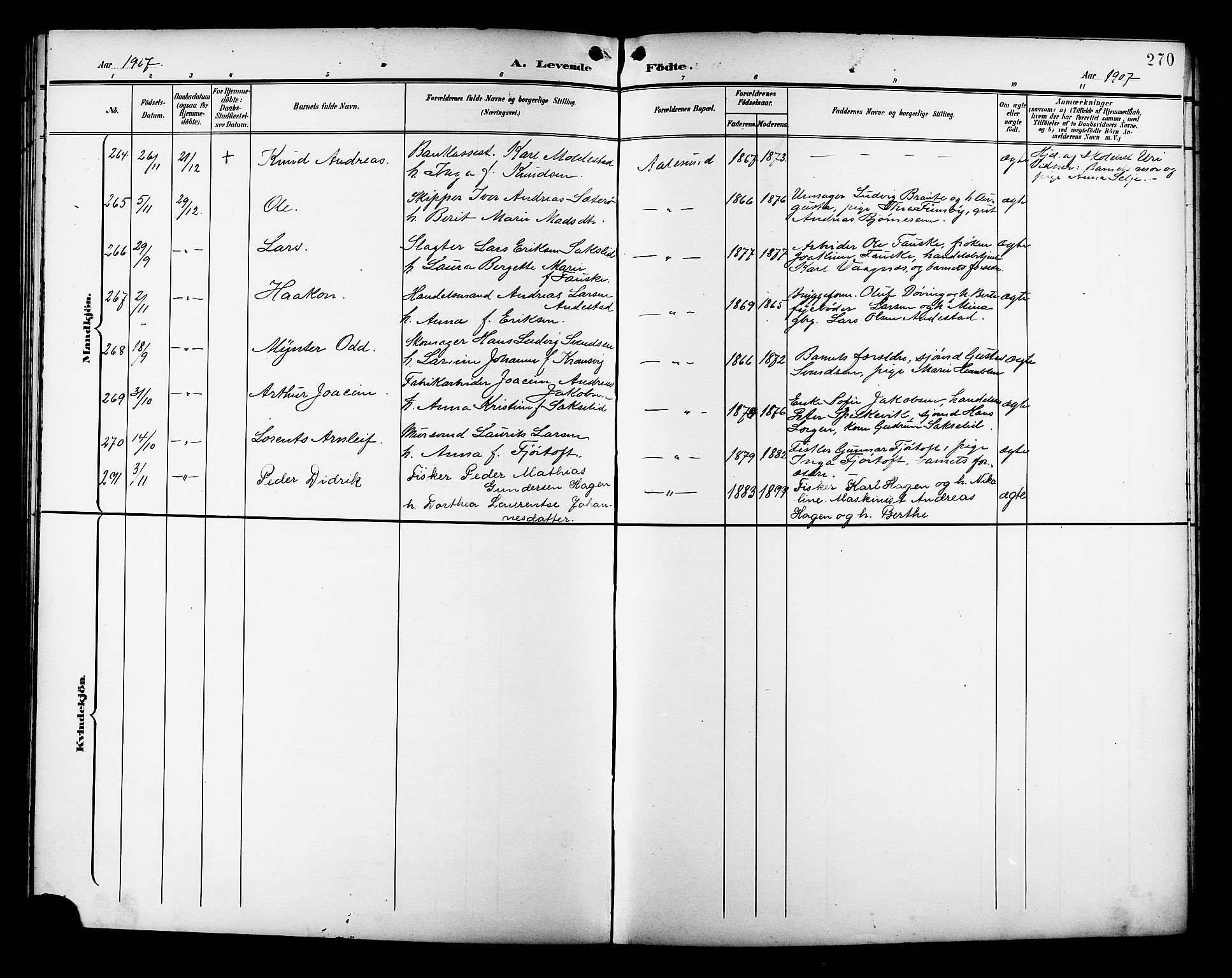 Ministerialprotokoller, klokkerbøker og fødselsregistre - Møre og Romsdal, AV/SAT-A-1454/529/L0468: Parish register (copy) no. 529C05, 1897-1908, p. 270