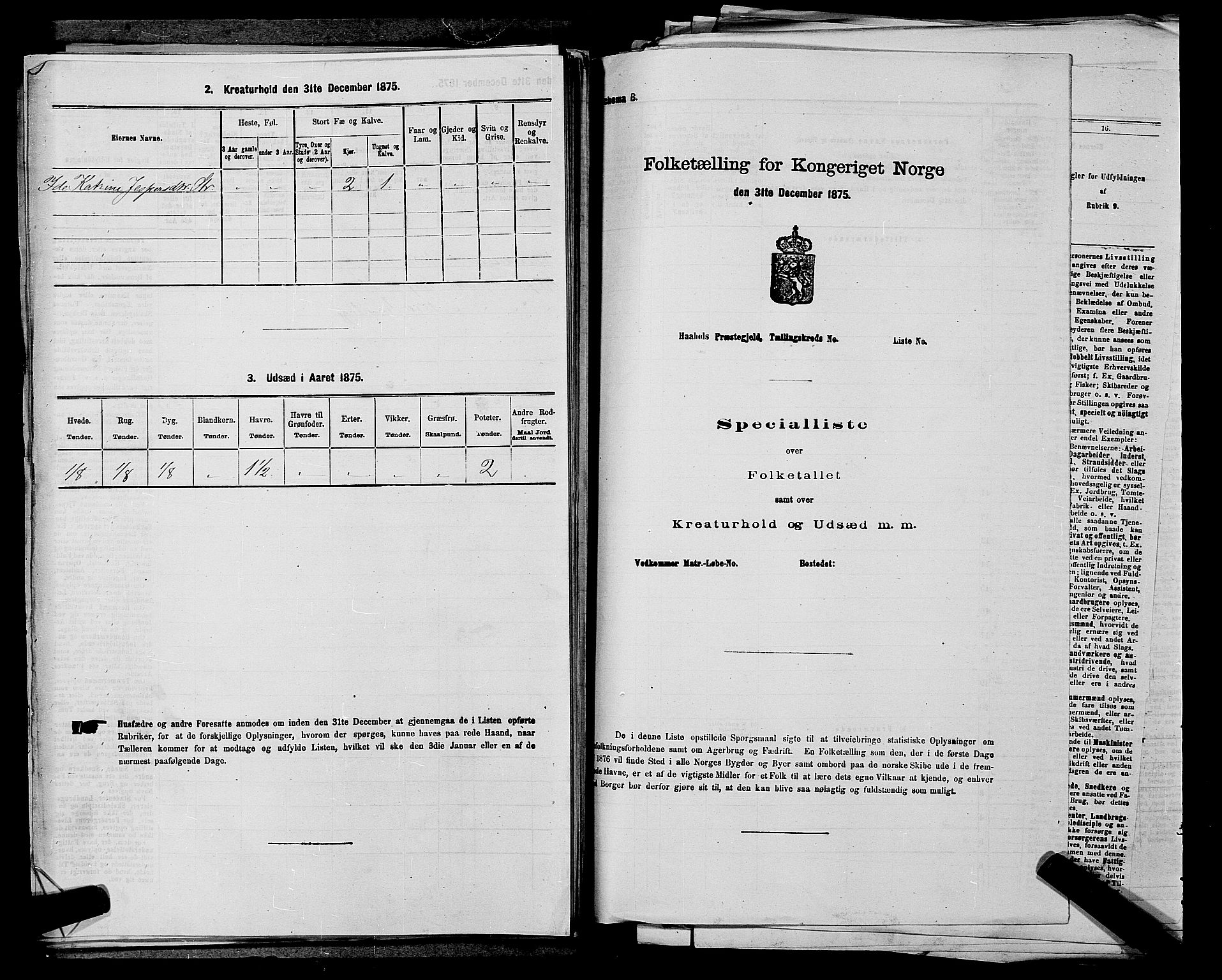 SAKO, 1875 census for 0721P Sem, 1875, p. 461