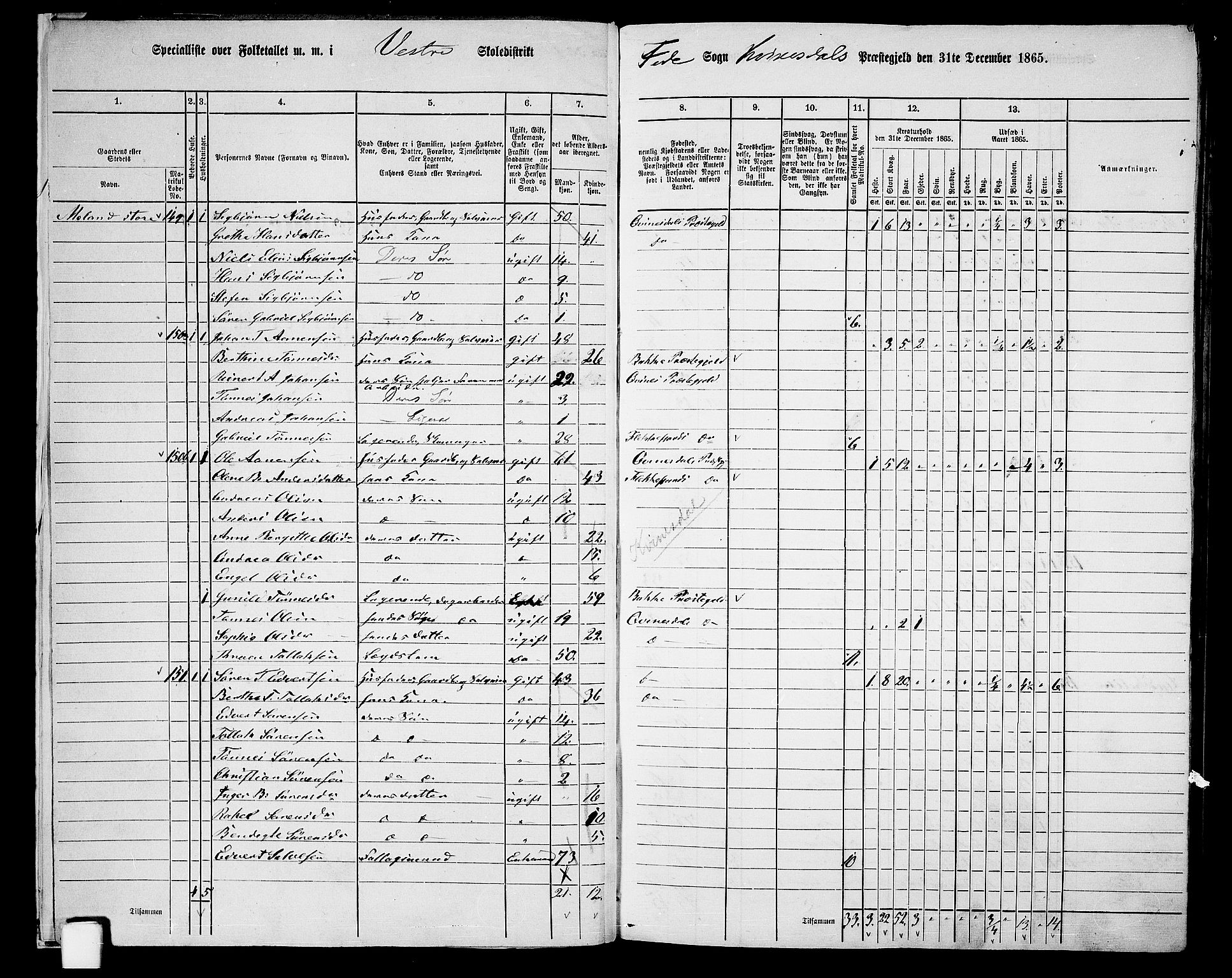 RA, 1865 census for Kvinesdal, 1865, p. 19