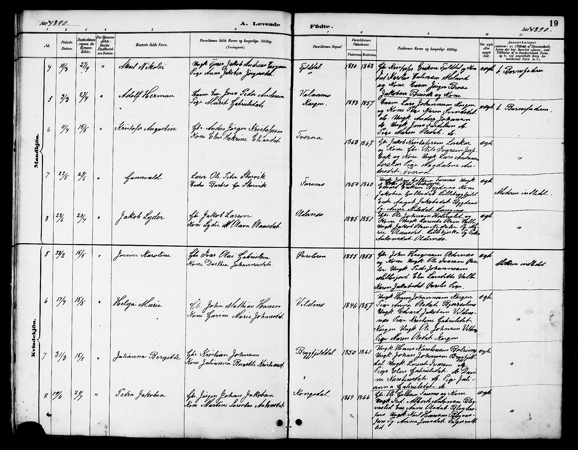 Ministerialprotokoller, klokkerbøker og fødselsregistre - Nordland, AV/SAT-A-1459/826/L0383: Parish register (copy) no. 826C03, 1887-1896, p. 19