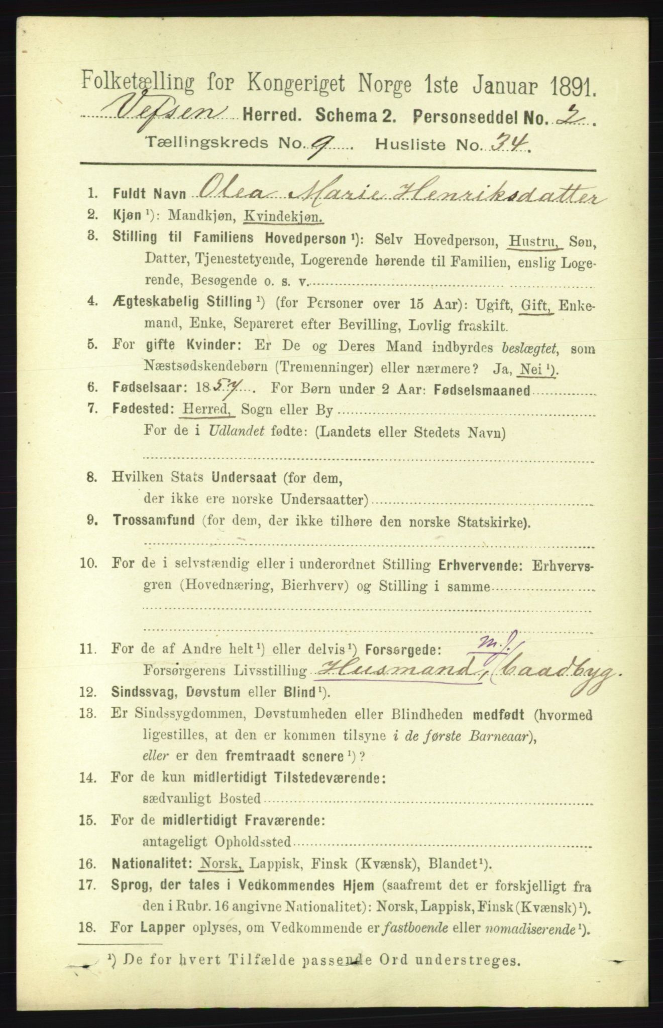 RA, 1891 census for 1824 Vefsn, 1891, p. 4905