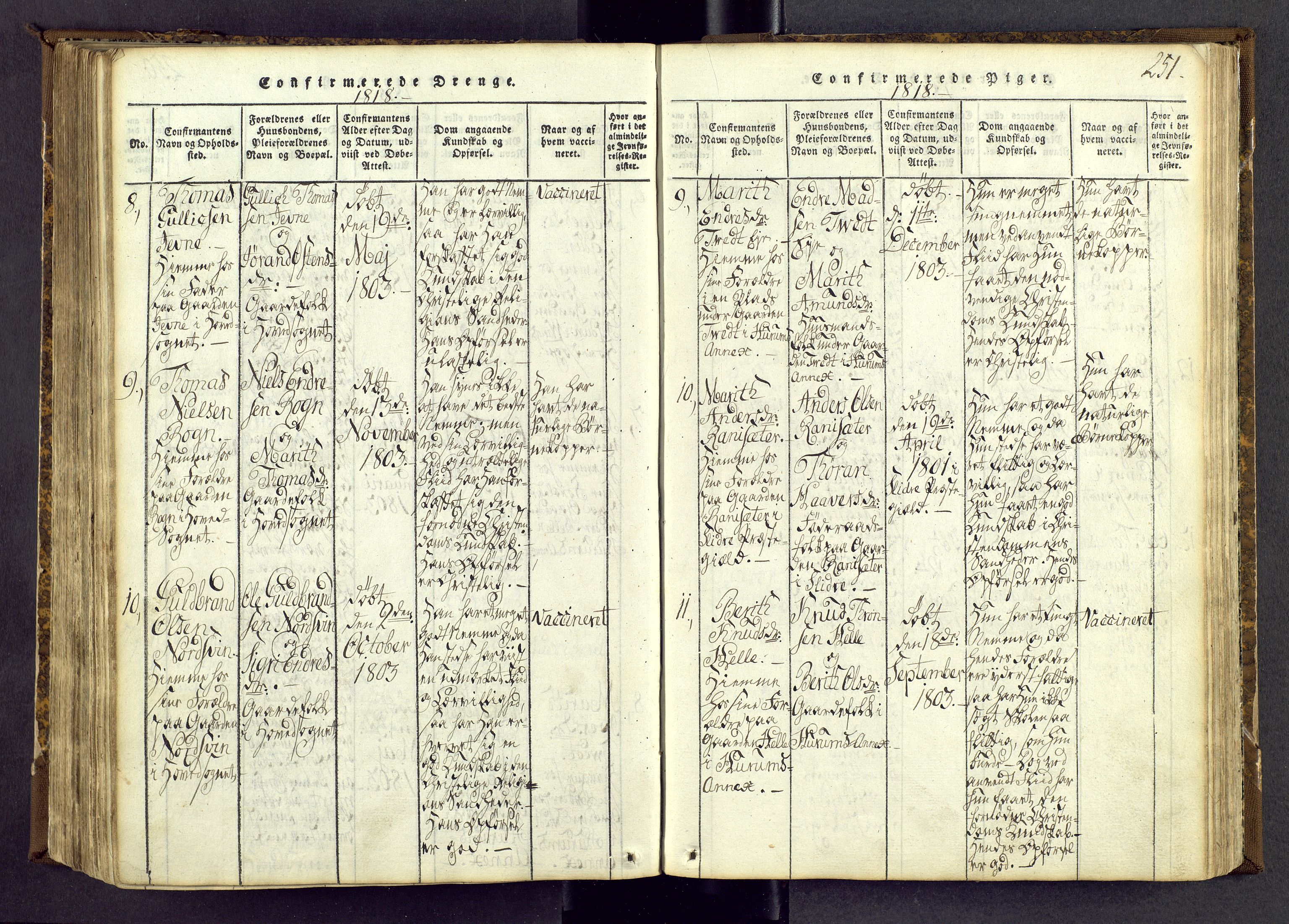 Vang prestekontor, Valdres, SAH/PREST-140/H/Ha/L0004: Parish register (official) no. 4, 1814-1831, p. 251