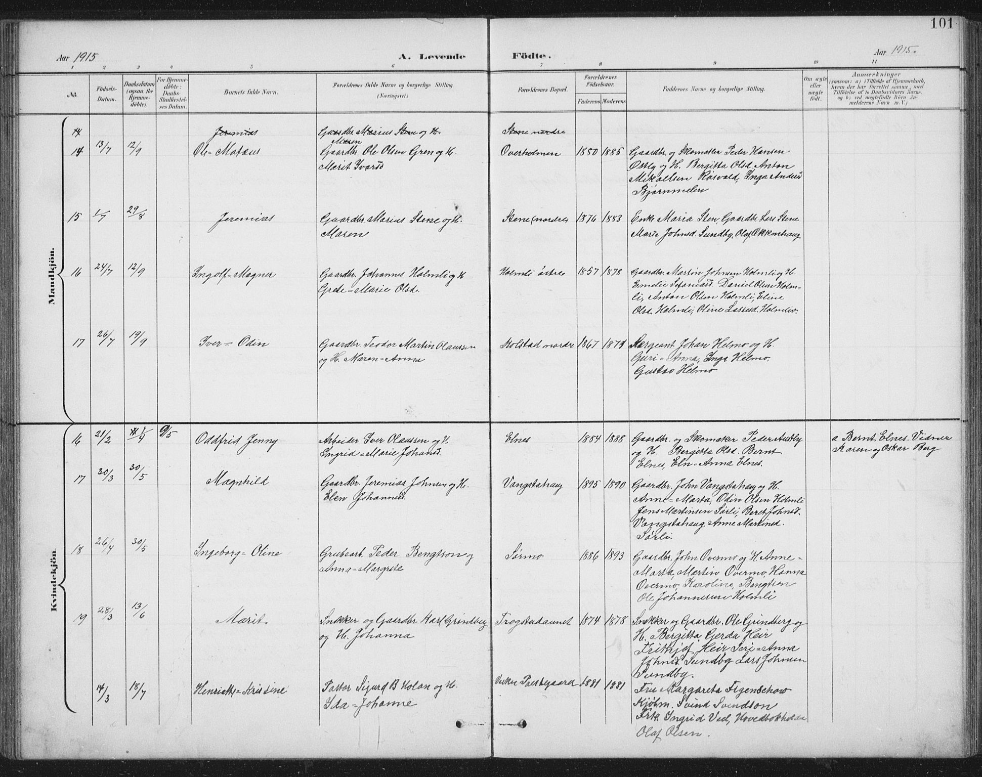 Ministerialprotokoller, klokkerbøker og fødselsregistre - Nord-Trøndelag, AV/SAT-A-1458/724/L0269: Parish register (copy) no. 724C05, 1899-1920, p. 101