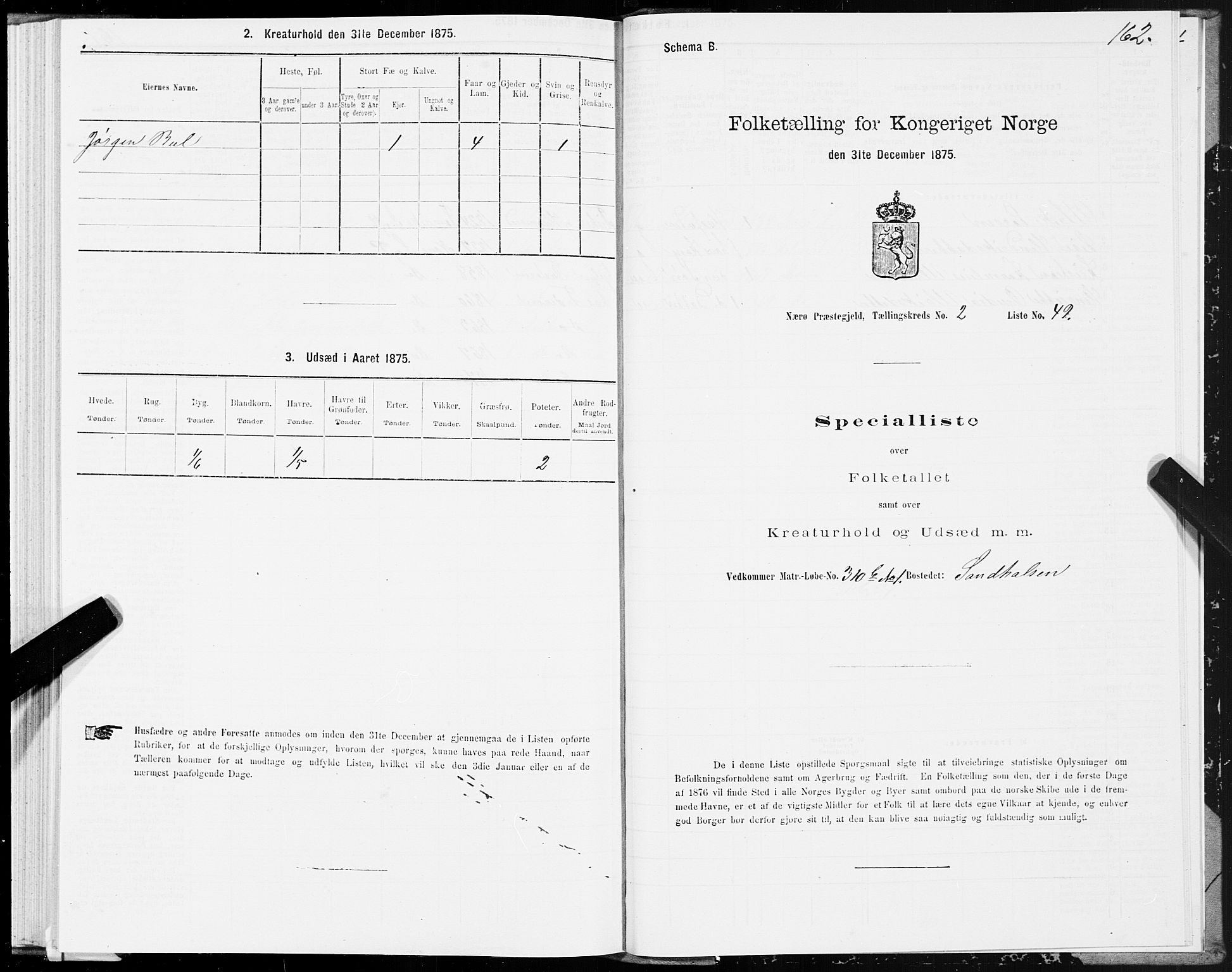 SAT, 1875 census for 1751P Nærøy, 1875, p. 1162