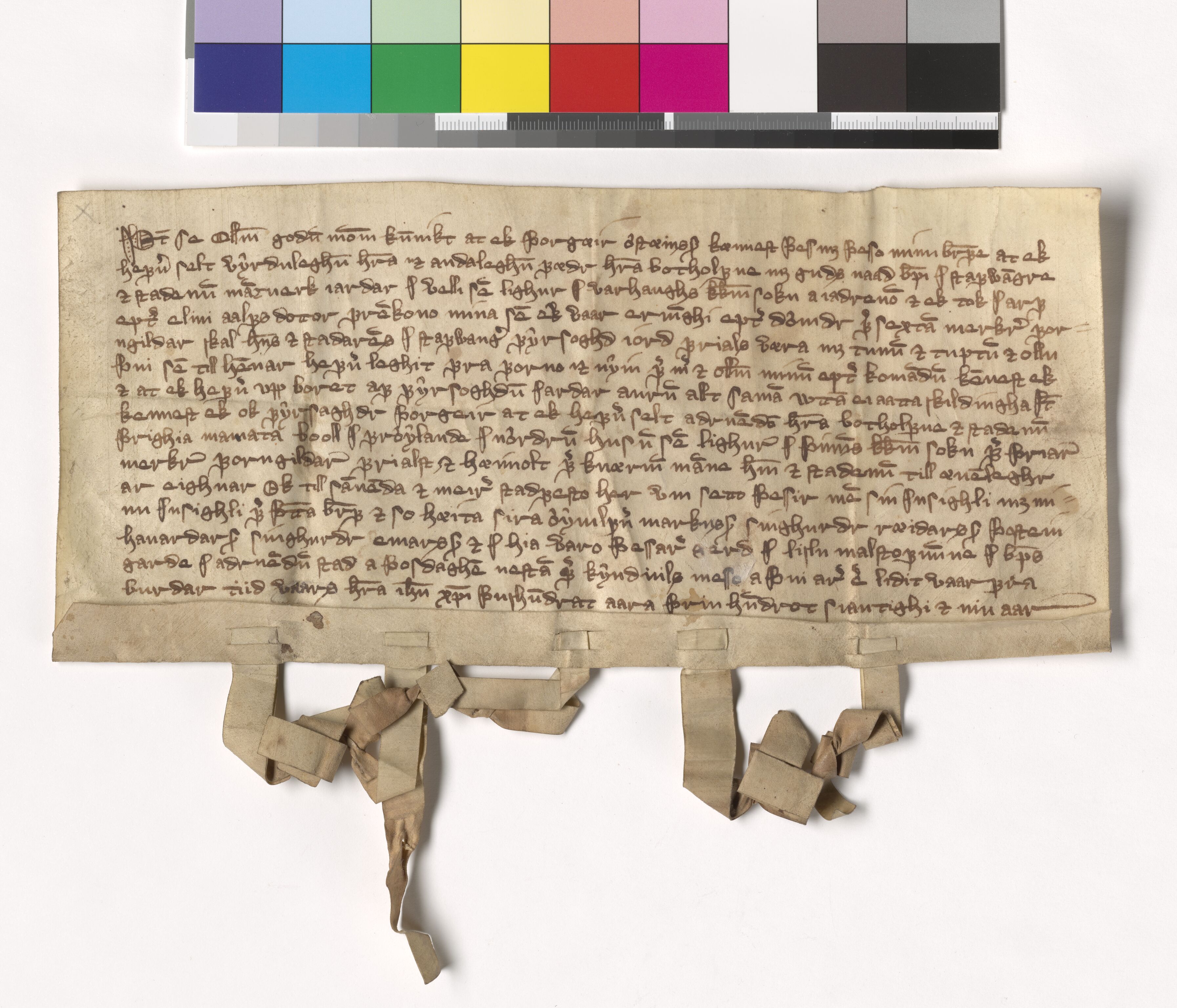 Riksarkivets diplomsamling, AV/RA-EA-5965/F05/L0112: NRA AM fasc. 36 nr. 8-12, 1378-1380, p. 14