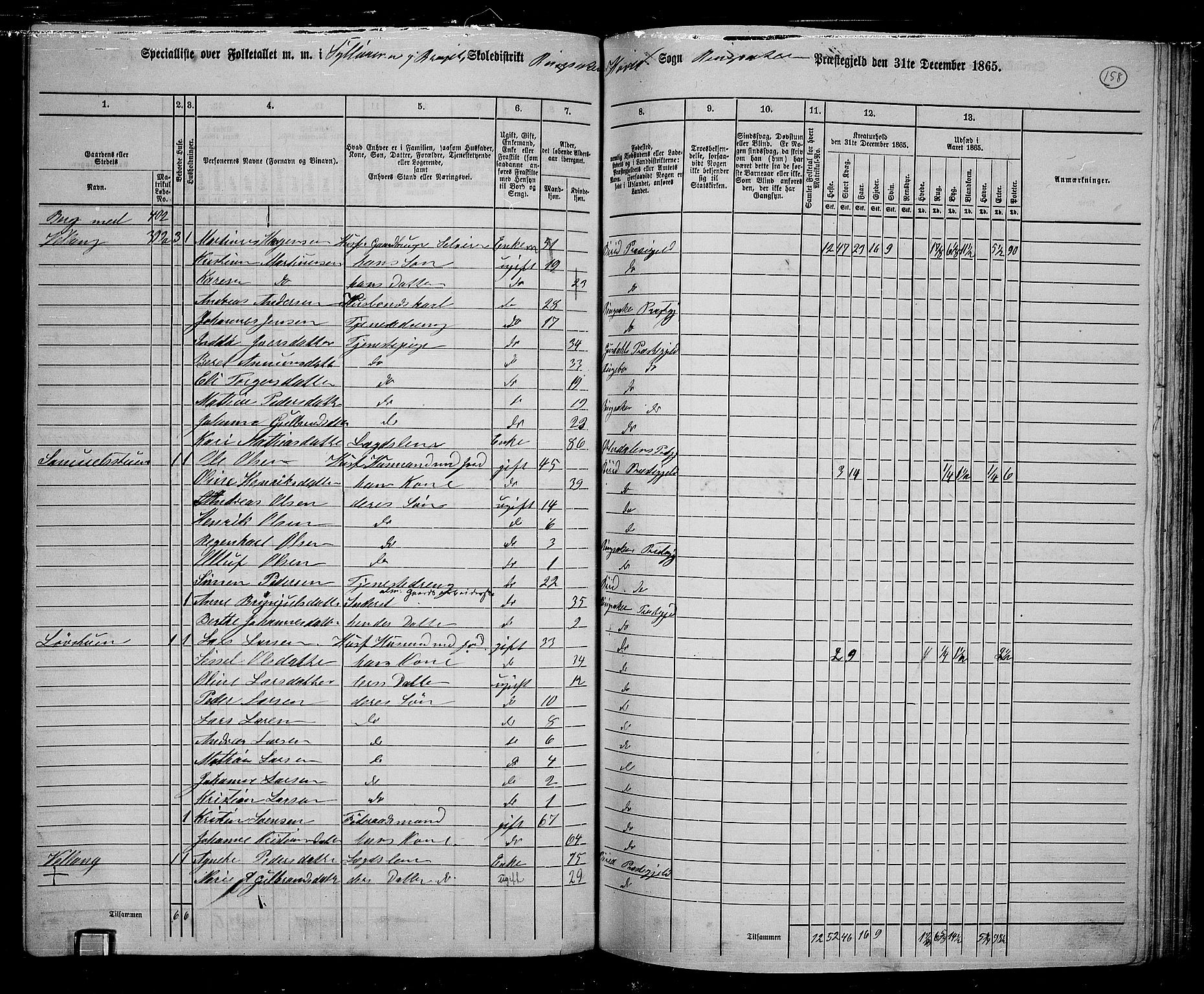 RA, 1865 census for Ringsaker, 1865, p. 402