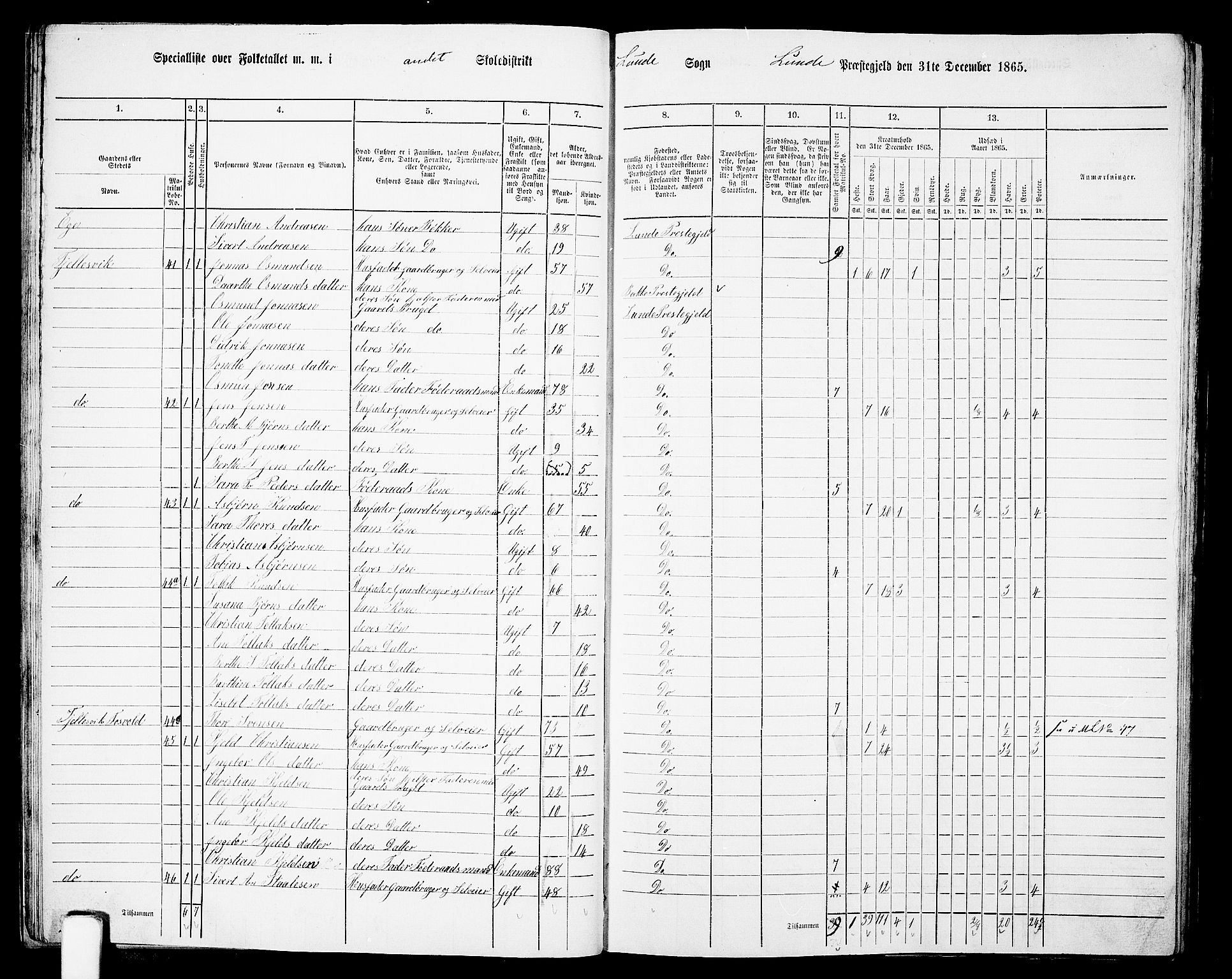 RA, 1865 census for Lund, 1865, p. 24
