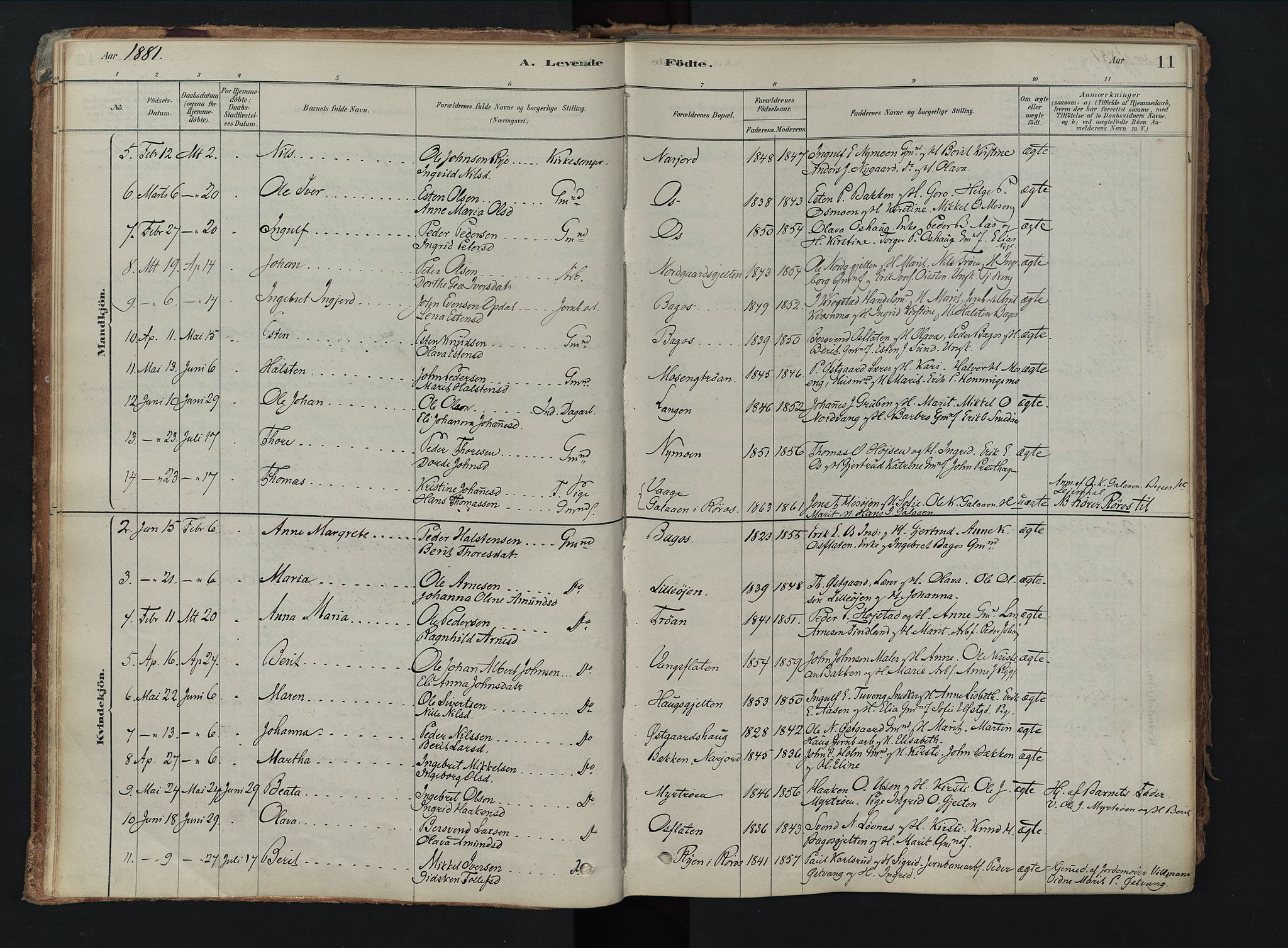 Tolga prestekontor, AV/SAH-PREST-062/K/L0008: Parish register (official) no. 8, 1877-1910, p. 11