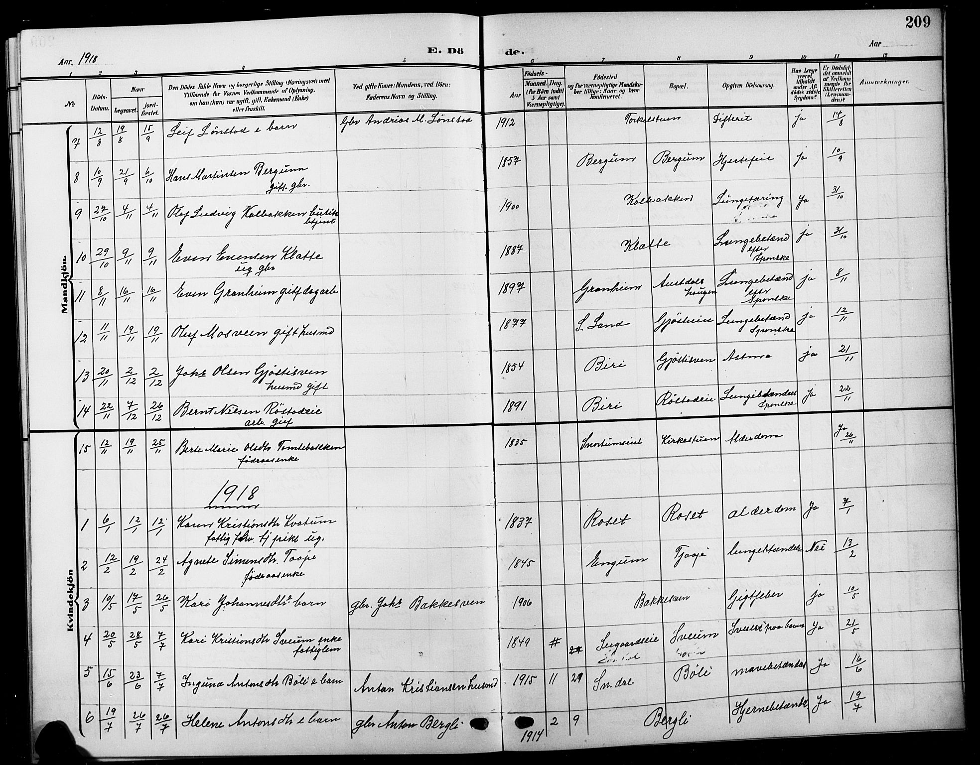 Biri prestekontor, SAH/PREST-096/H/Ha/Hab/L0005: Parish register (copy) no. 5, 1906-1919, p. 209