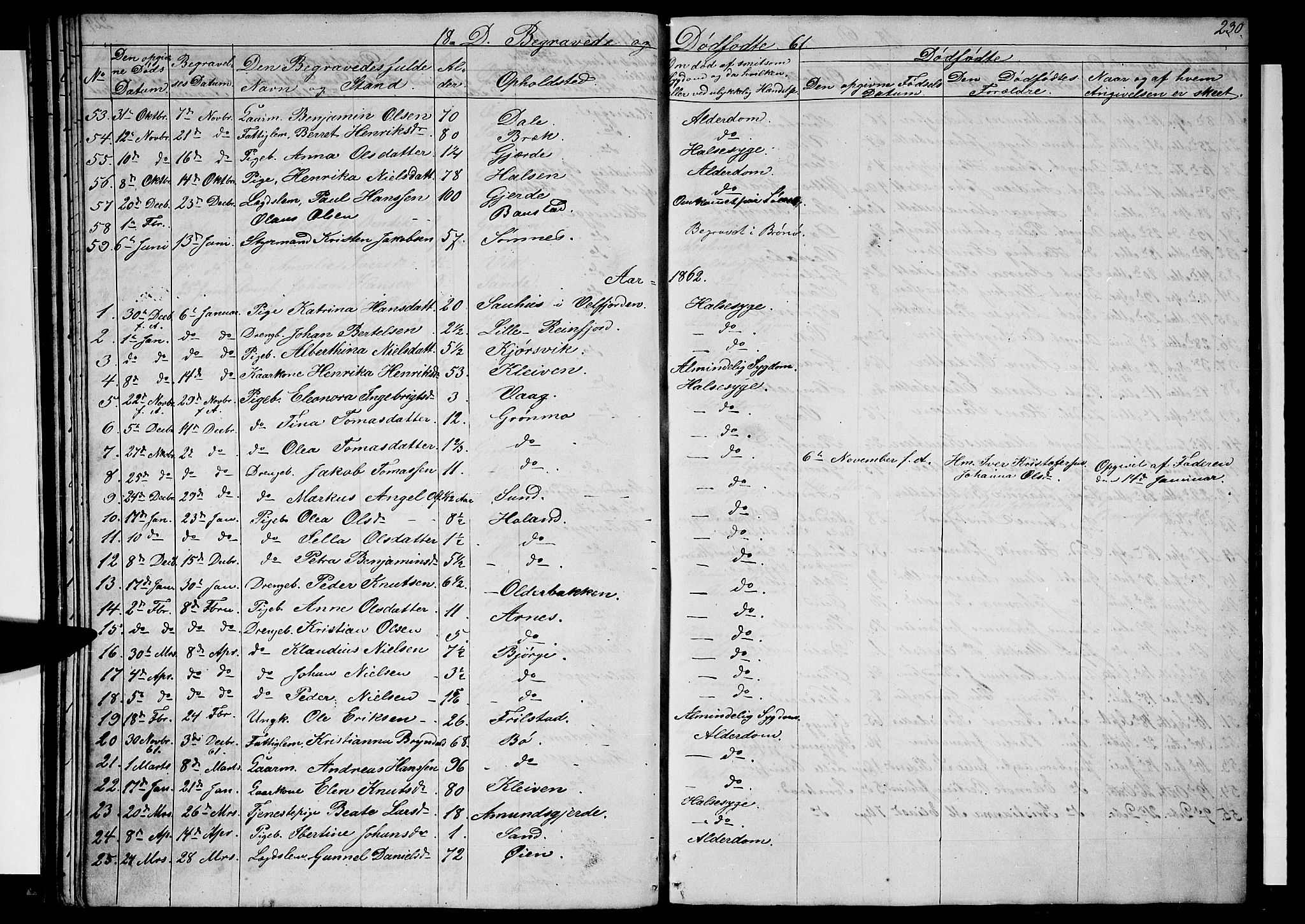 Ministerialprotokoller, klokkerbøker og fødselsregistre - Nordland, AV/SAT-A-1459/812/L0187: Parish register (copy) no. 812C05, 1850-1883, p. 230