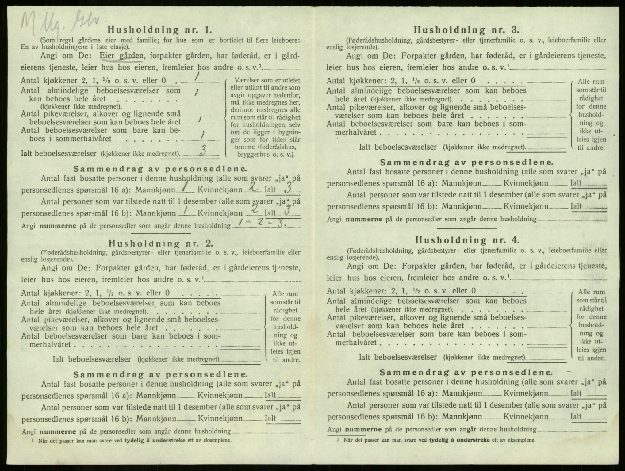 SAKO, 1920 census for Våle, 1920, p. 1031