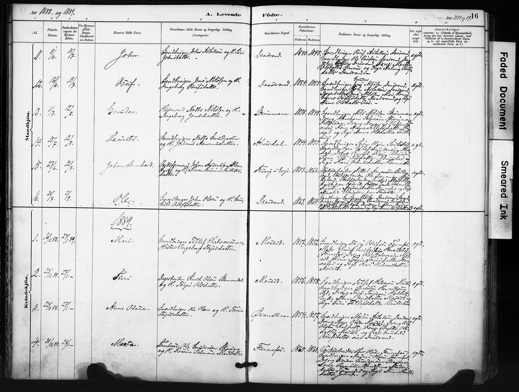 Evje sokneprestkontor, SAK/1111-0008/F/Fa/Fab/L0003: Parish register (official) no. A 3, 1884-1909, p. 16