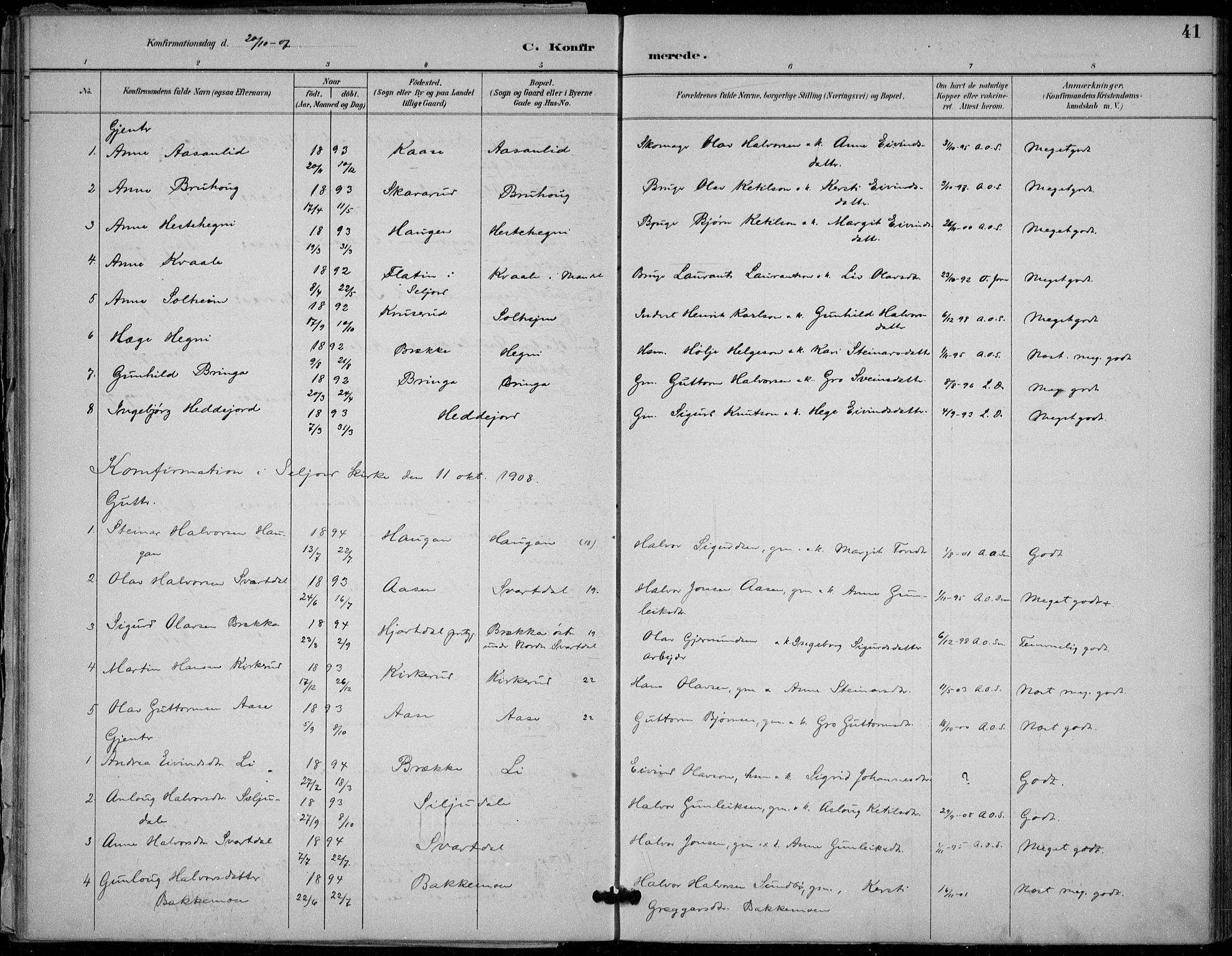 Seljord kirkebøker, SAKO/A-20/F/Fb/L0002: Parish register (official) no. II 2, 1887-1917, p. 41