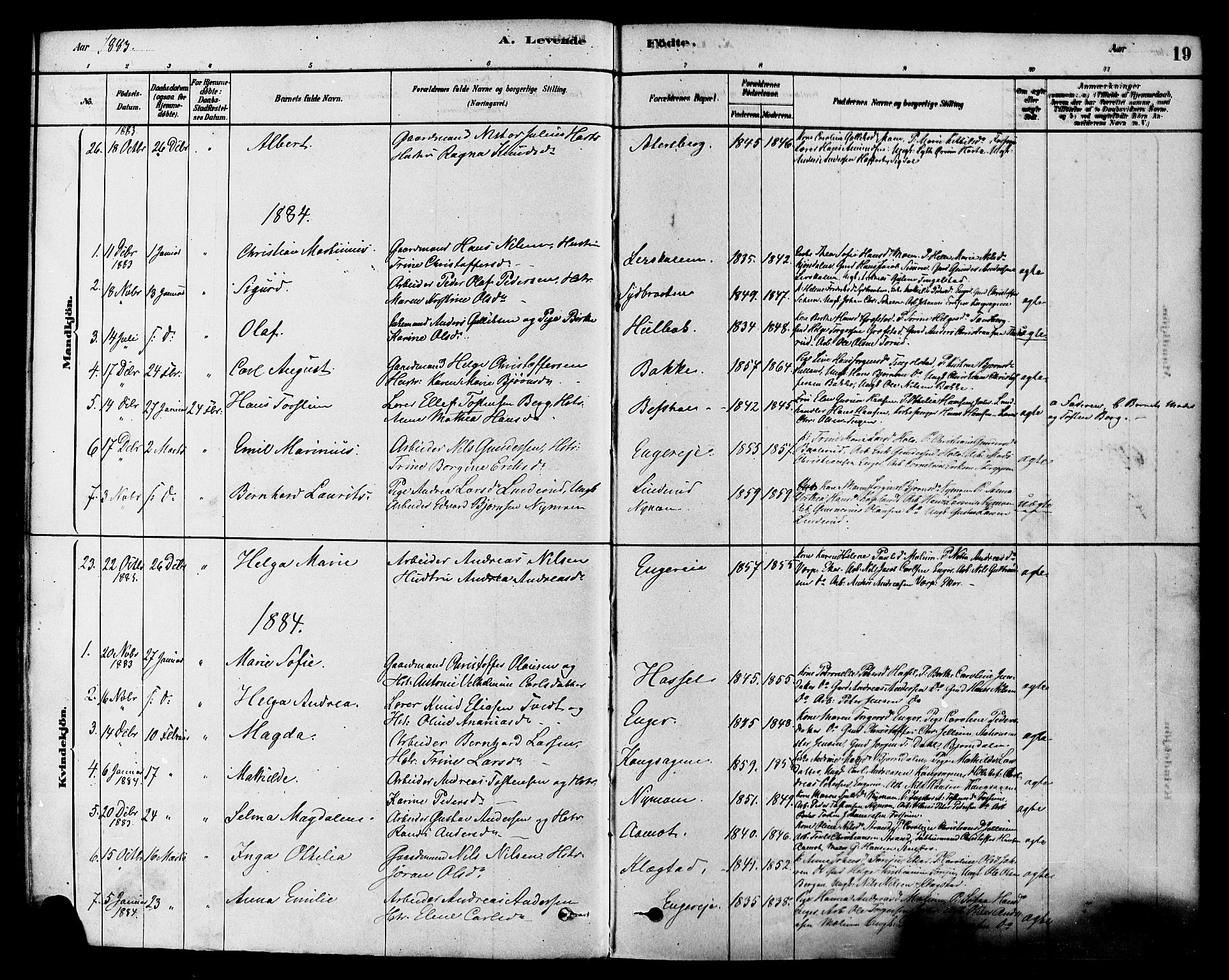 Modum kirkebøker, AV/SAKO-A-234/F/Fa/L0015: Parish register (official) no. 15 /1, 1877-1889, p. 19