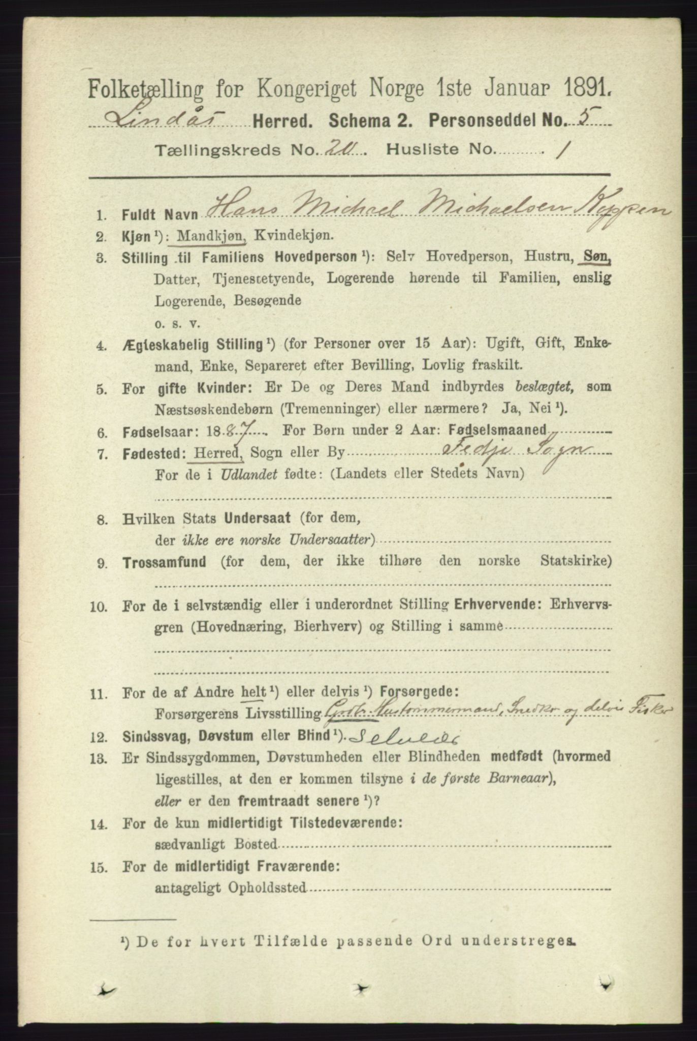 RA, 1891 census for 1263 Lindås, 1891, p. 7356