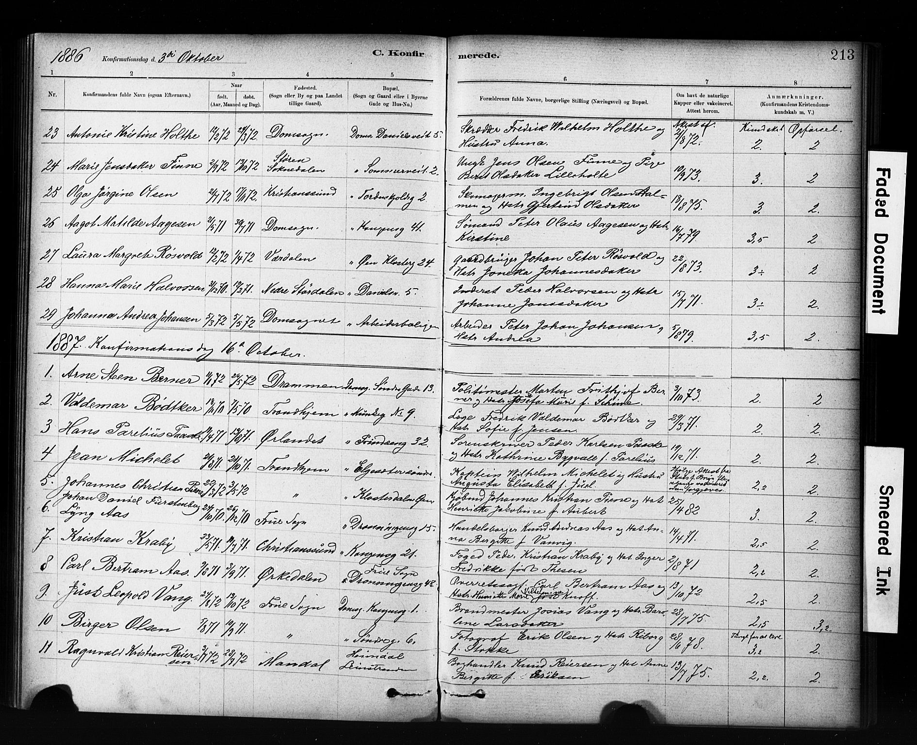 Ministerialprotokoller, klokkerbøker og fødselsregistre - Sør-Trøndelag, SAT/A-1456/601/L0071: Curate's parish register no. 601B04, 1882-1931, p. 213