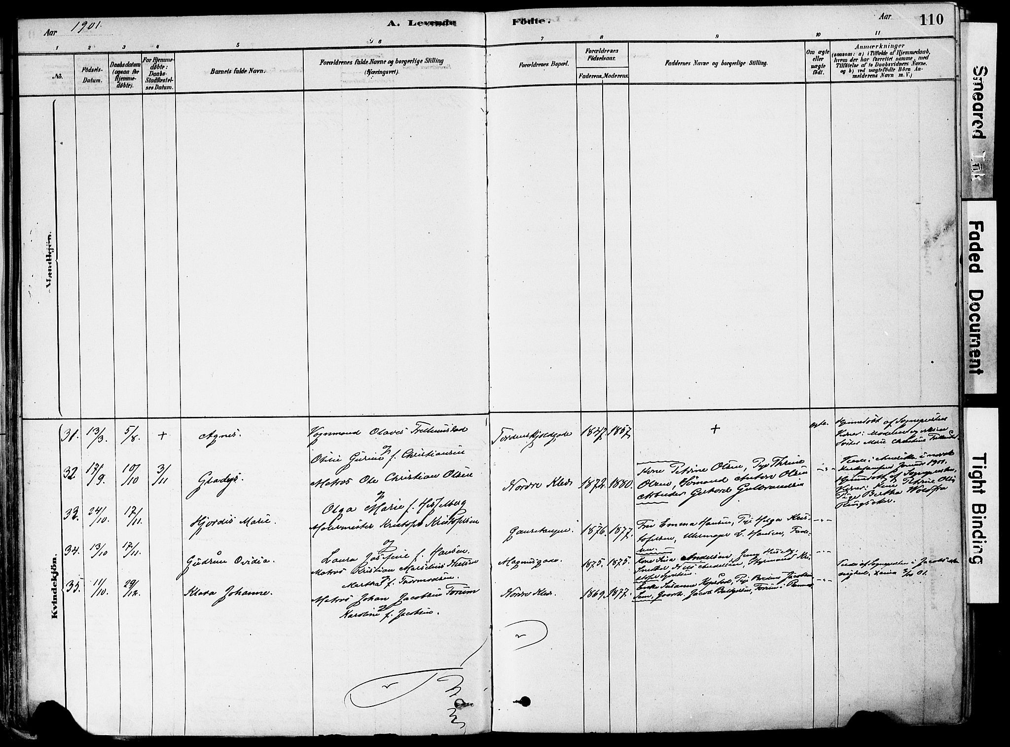 Holmestrand kirkebøker, AV/SAKO-A-346/F/Fa/L0004: Parish register (official) no. 4, 1880-1901, p. 110