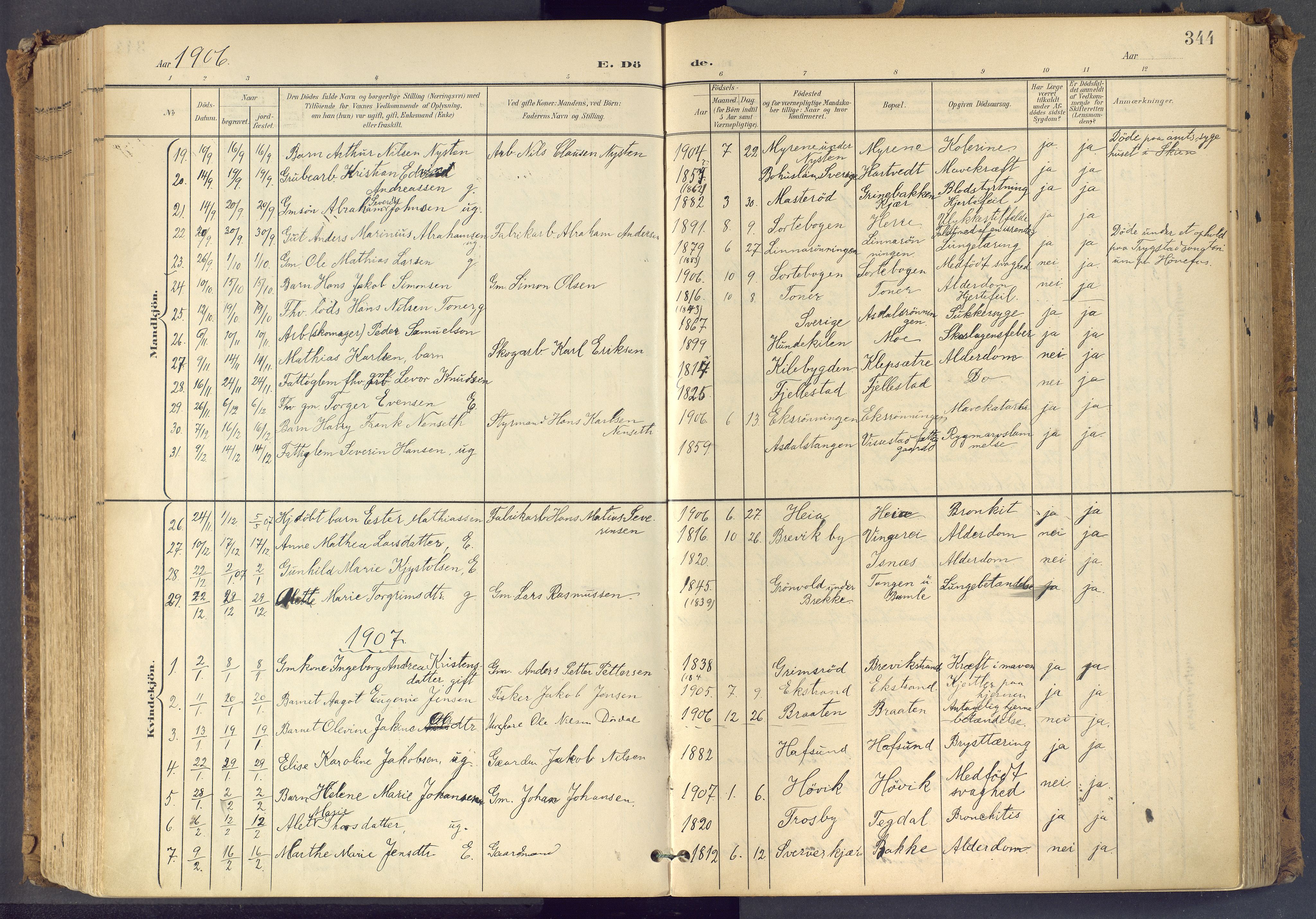 Bamble kirkebøker, SAKO/A-253/F/Fa/L0009: Parish register (official) no. I 9, 1901-1917, p. 344