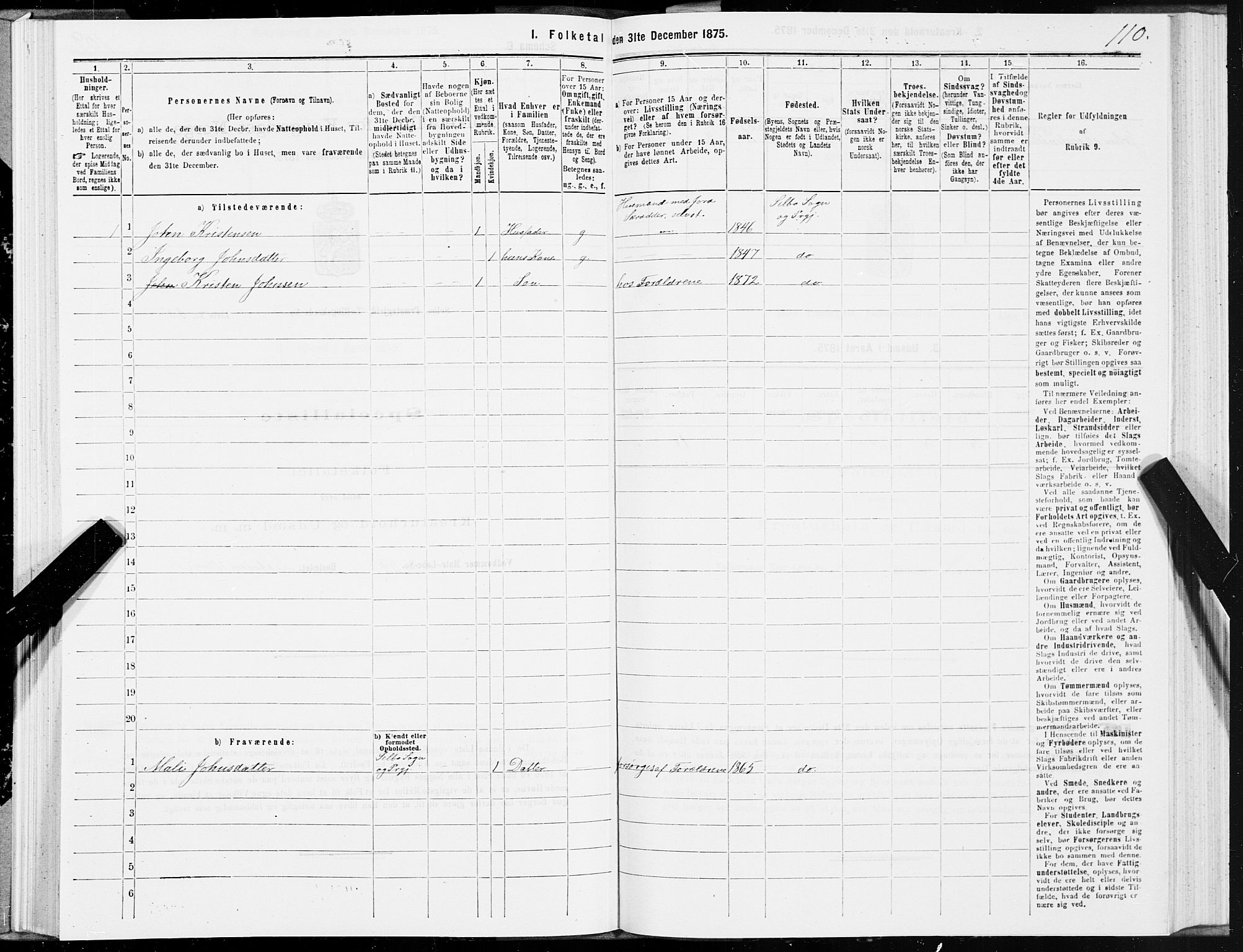 SAT, 1875 census for 1664P Selbu, 1875, p. 4110