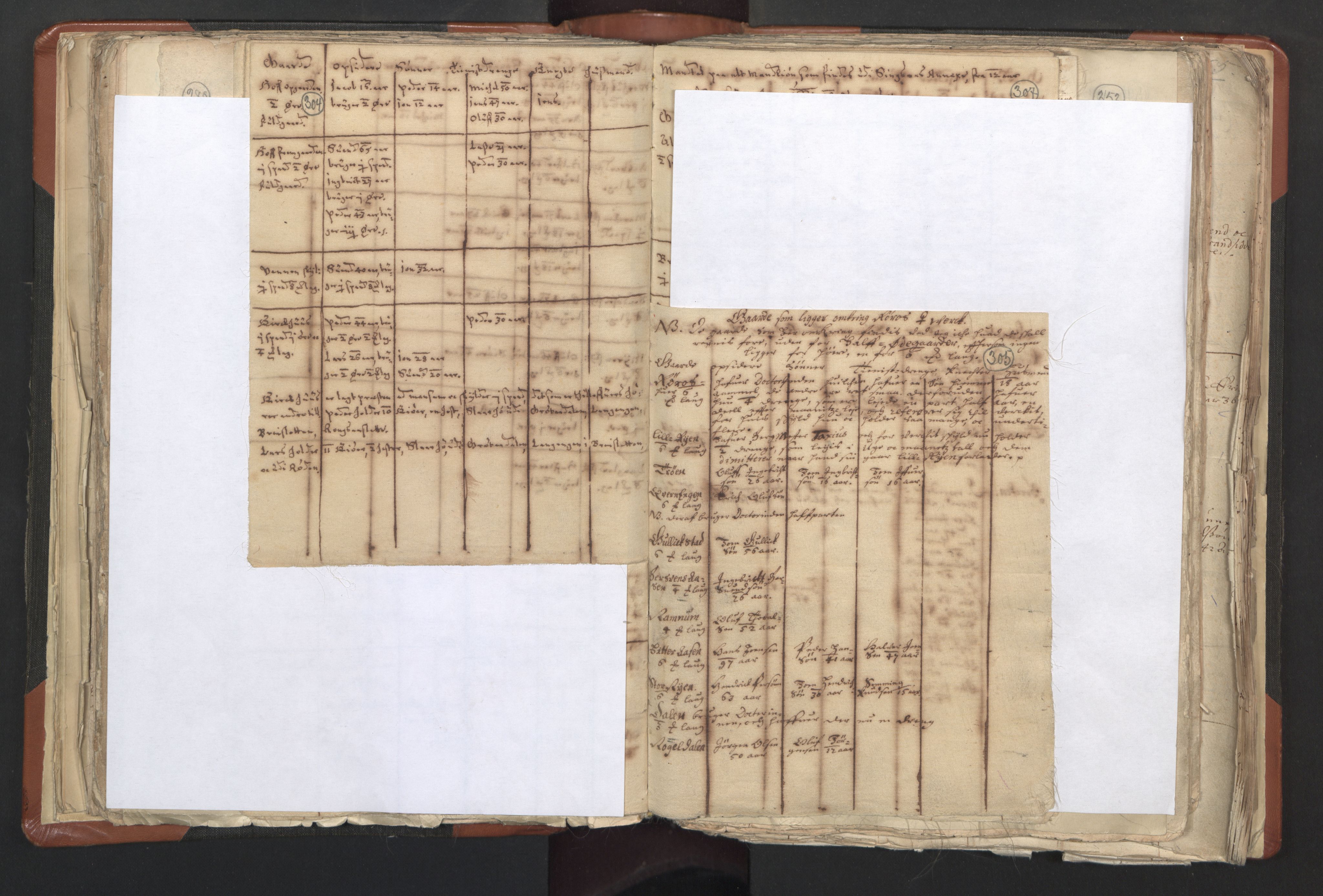 RA, Vicar's Census 1664-1666, no. 31: Dalane deanery, 1664-1666, p. 304-305
