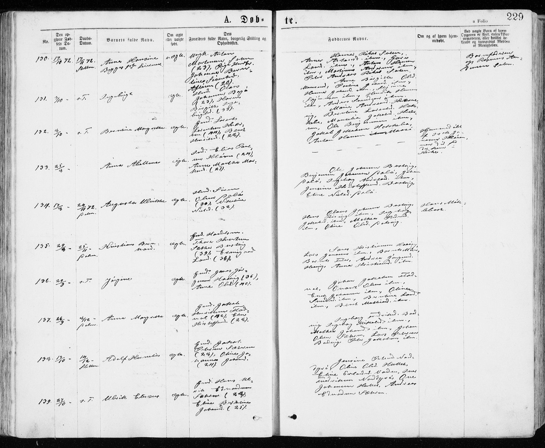 Ministerialprotokoller, klokkerbøker og fødselsregistre - Sør-Trøndelag, AV/SAT-A-1456/640/L0576: Parish register (official) no. 640A01, 1846-1876, p. 229