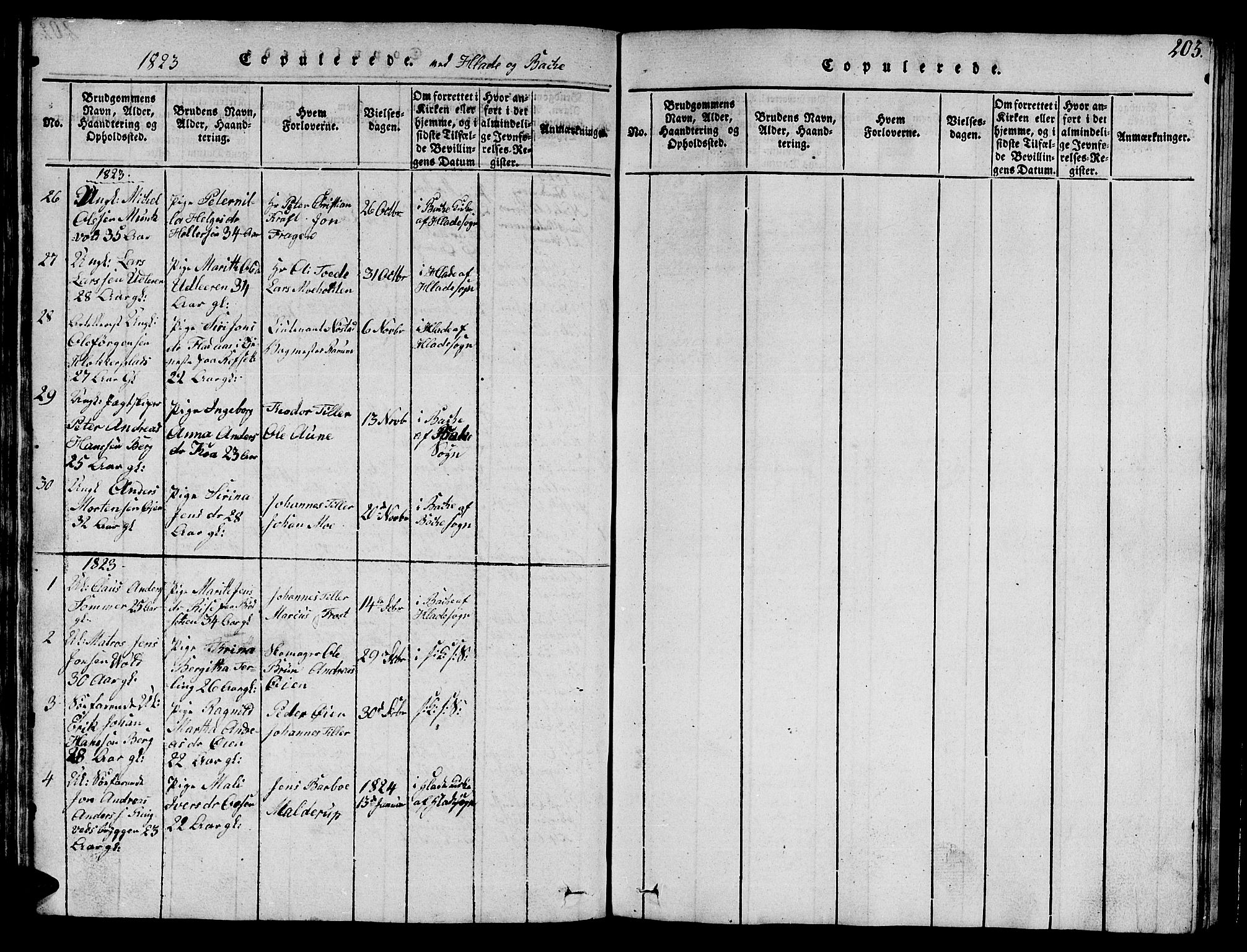 Ministerialprotokoller, klokkerbøker og fødselsregistre - Sør-Trøndelag, SAT/A-1456/606/L0307: Parish register (copy) no. 606C03, 1817-1824, p. 203