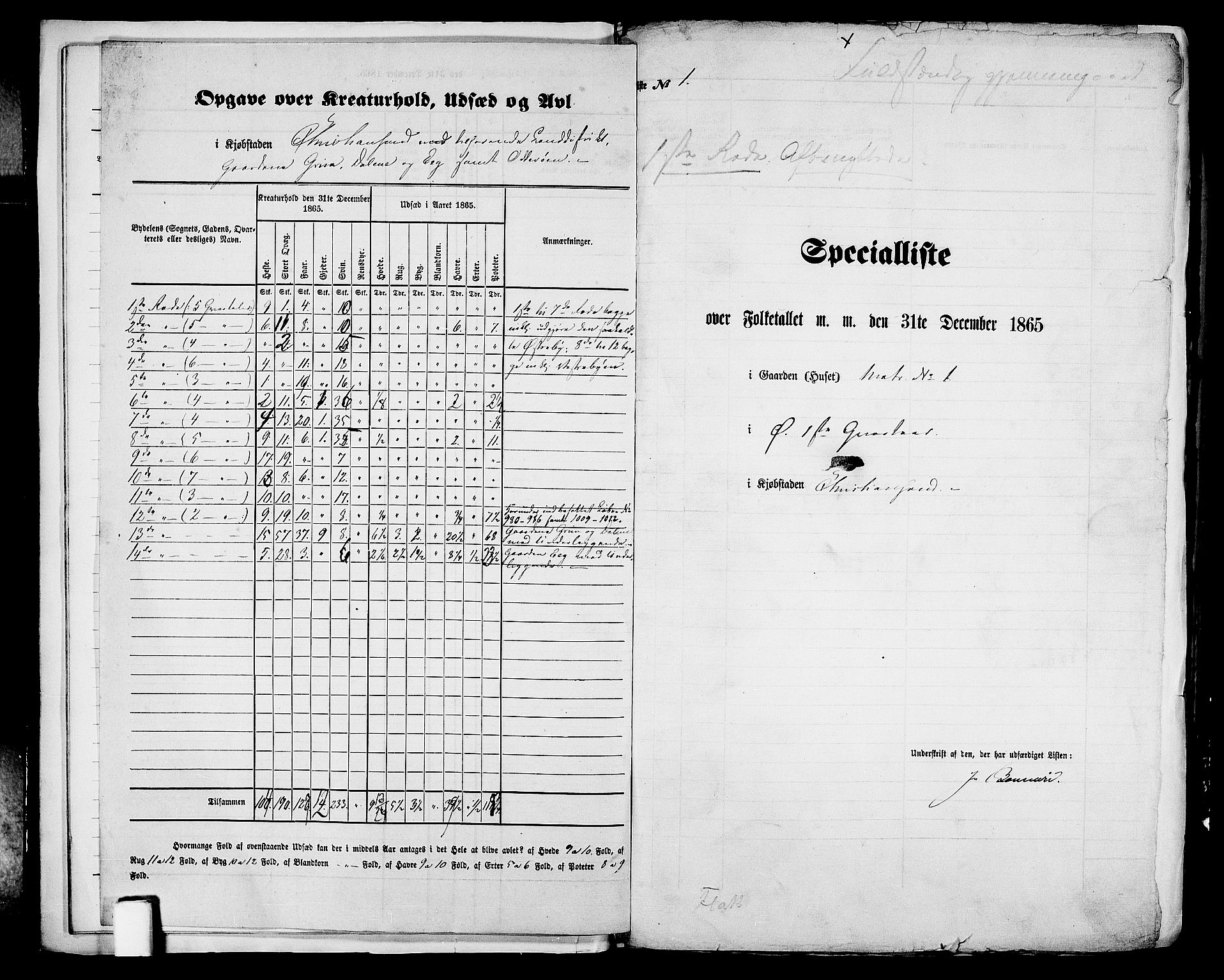 RA, 1865 census for Kristiansand, 1865, p. 15