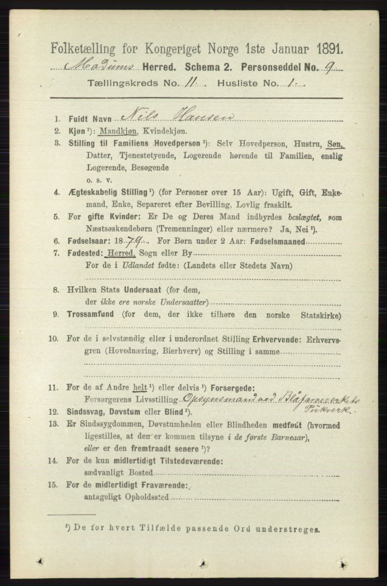 RA, 1891 census for 0623 Modum, 1891, p. 4118