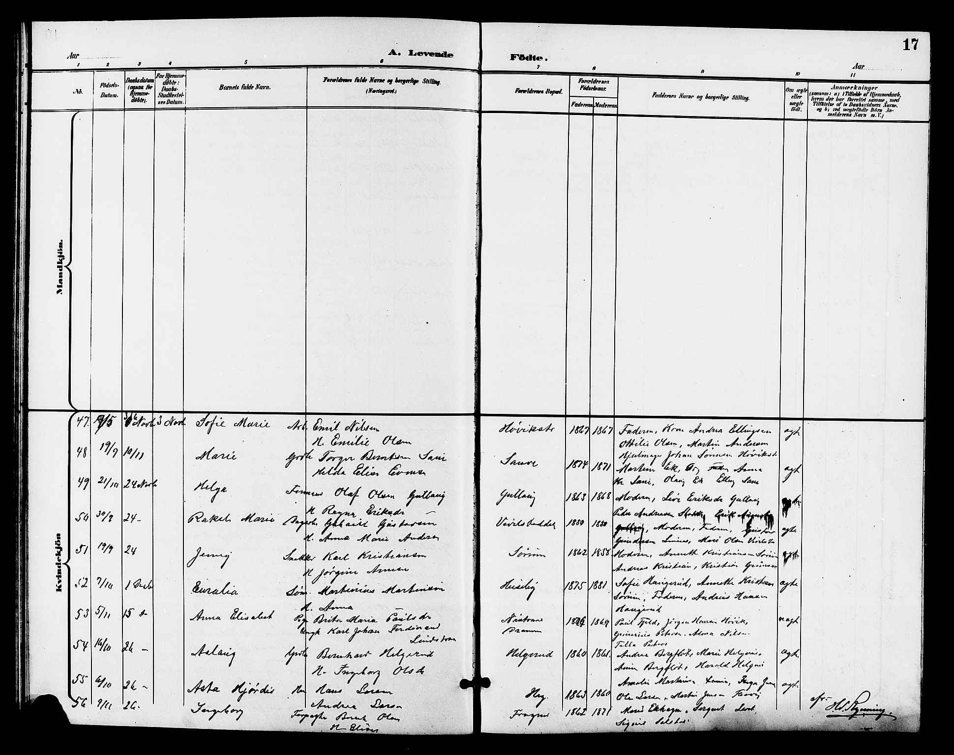 Lier kirkebøker, AV/SAKO-A-230/G/Gb/L0002: Parish register (copy) no. II 2, 1899-1911, p. 17