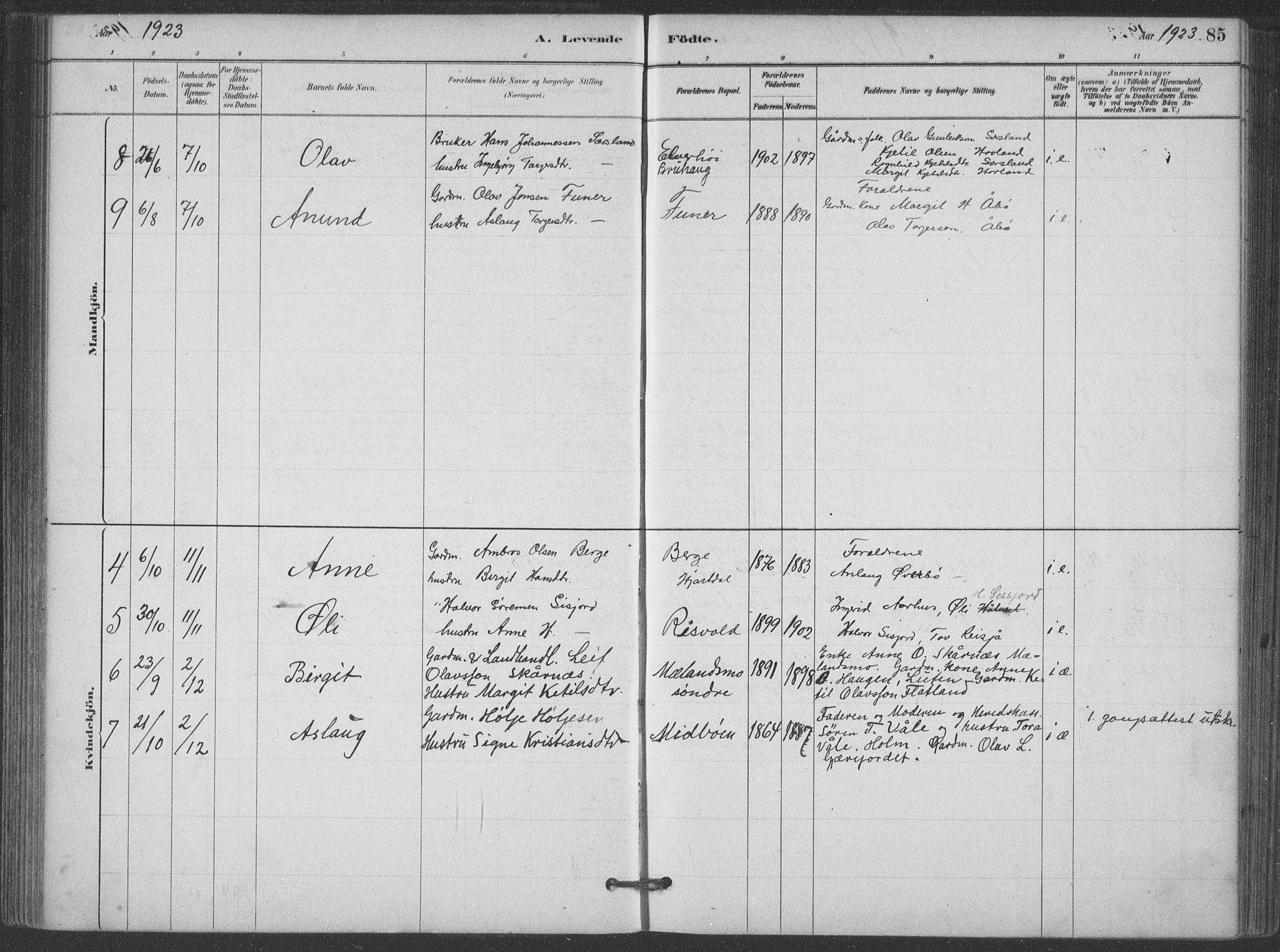Hjartdal kirkebøker, SAKO/A-270/F/Fa/L0010: Parish register (official) no. I 10, 1880-1929, p. 85
