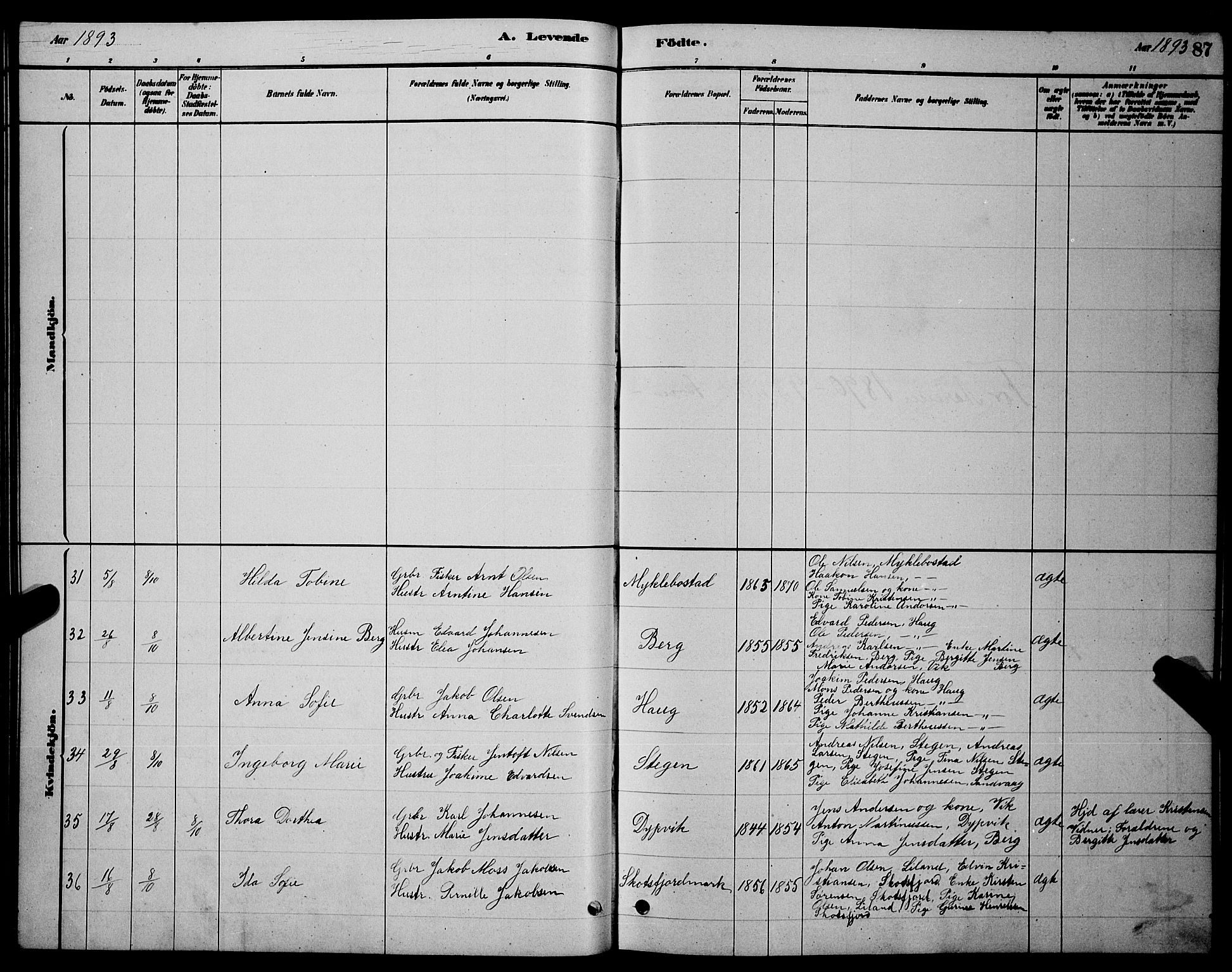 Ministerialprotokoller, klokkerbøker og fødselsregistre - Nordland, AV/SAT-A-1459/855/L0816: Parish register (copy) no. 855C05, 1879-1894, p. 87