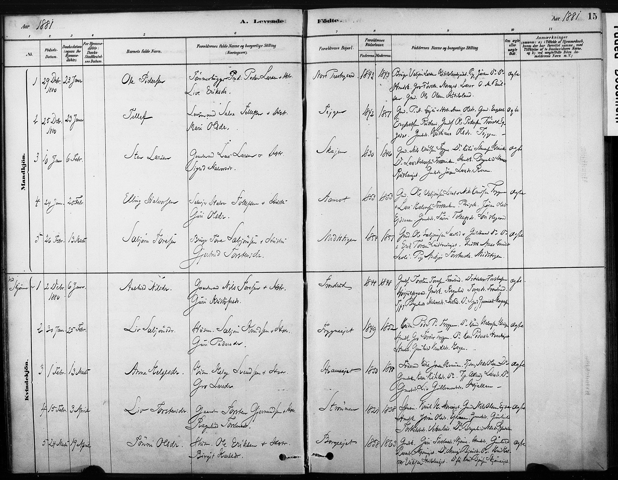 Nore kirkebøker, SAKO/A-238/F/Fb/L0001: Parish register (official) no. II 1, 1878-1886, p. 15