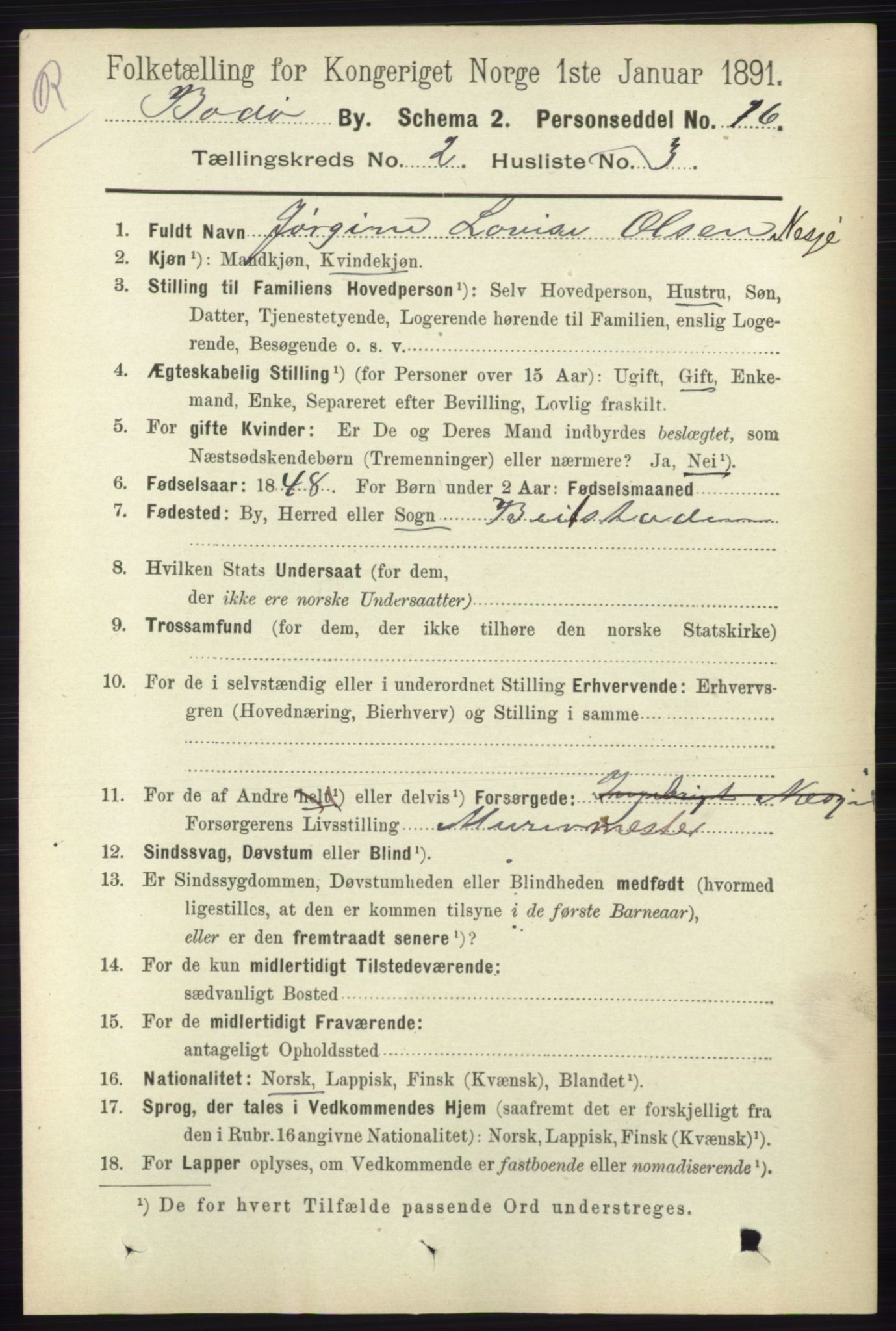 RA, 1891 census for 1804 Bodø, 1891, p. 1029