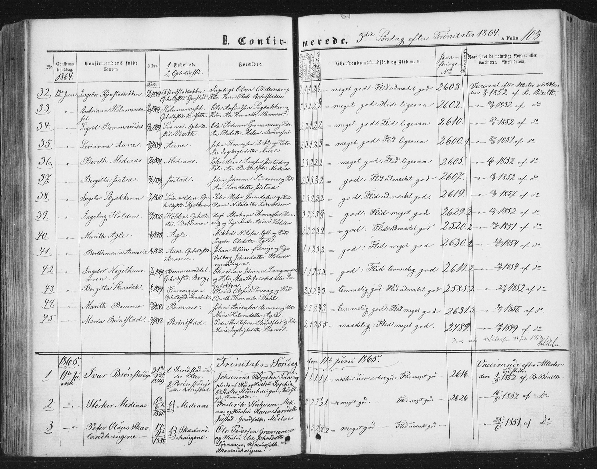 Ministerialprotokoller, klokkerbøker og fødselsregistre - Nord-Trøndelag, SAT/A-1458/749/L0472: Parish register (official) no. 749A06, 1857-1873, p. 103
