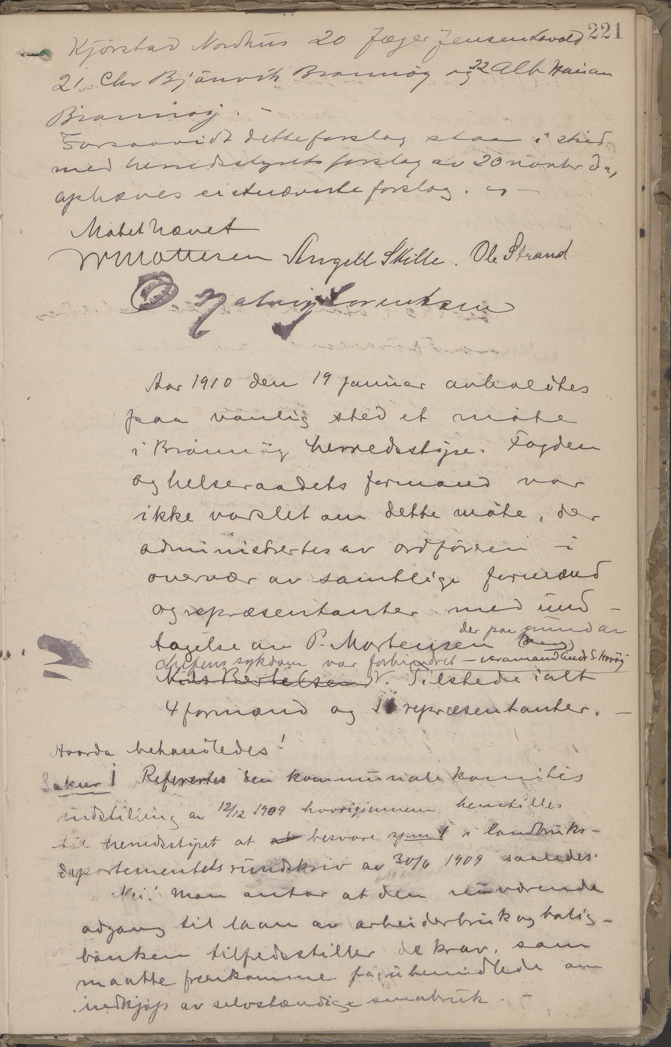 Brønnøy kommune. Formannskapet, AIN/K-18130.150/A/Aa/L0002c: Møtebok, 1900-1910, p. 221