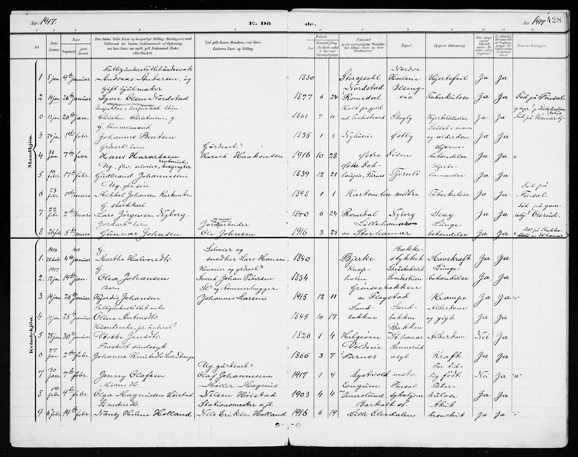 Vang prestekontor, Hedmark, SAH/PREST-008/H/Ha/Haa/L0021: Parish register (official) no. 21, 1902-1917, p. 428