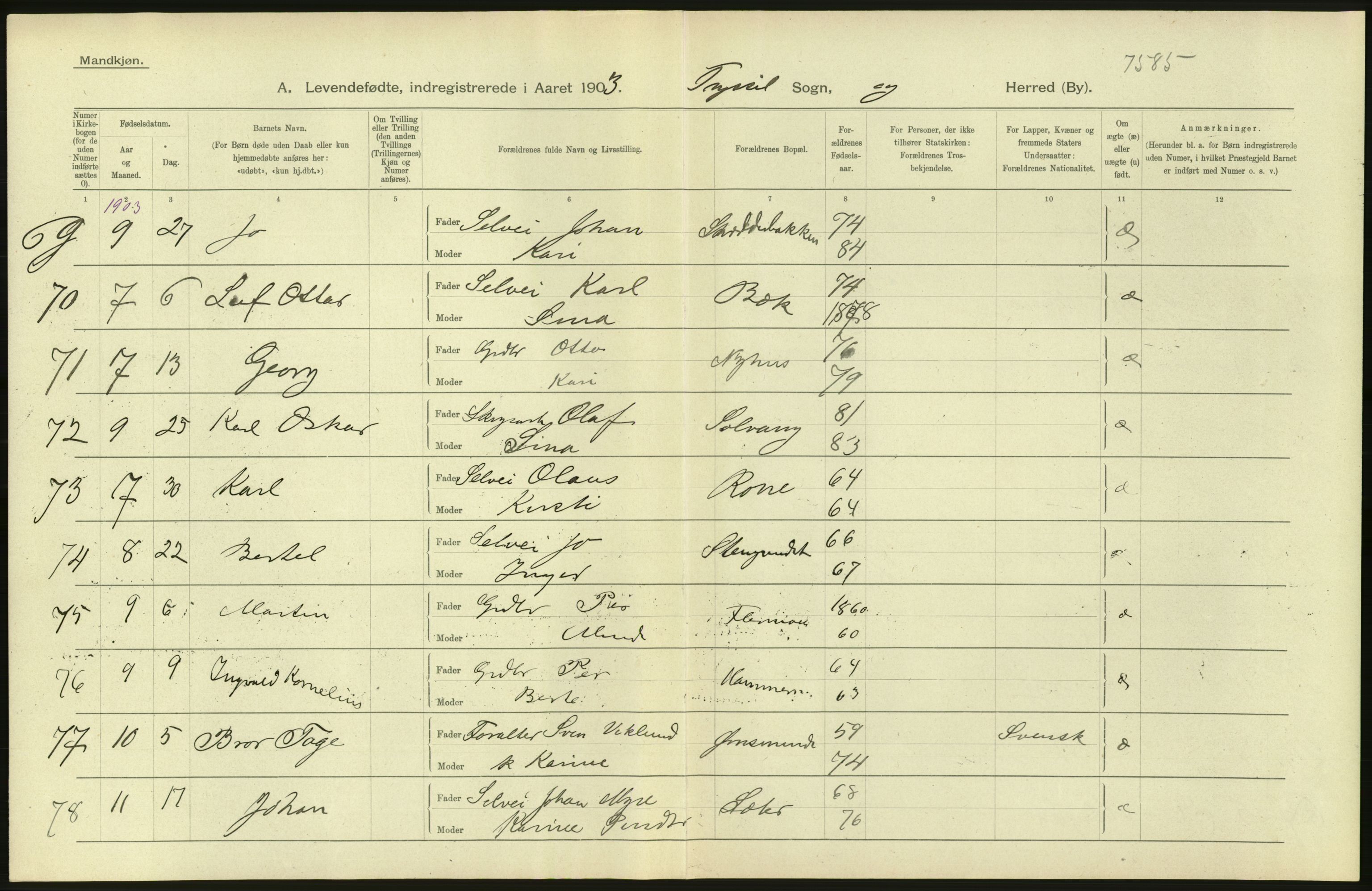 Statistisk sentralbyrå, Sosiodemografiske emner, Befolkning, AV/RA-S-2228/D/Df/Dfa/Dfaa/L0005: Hedemarkens amt: Fødte, gifte, døde, 1903, p. 12