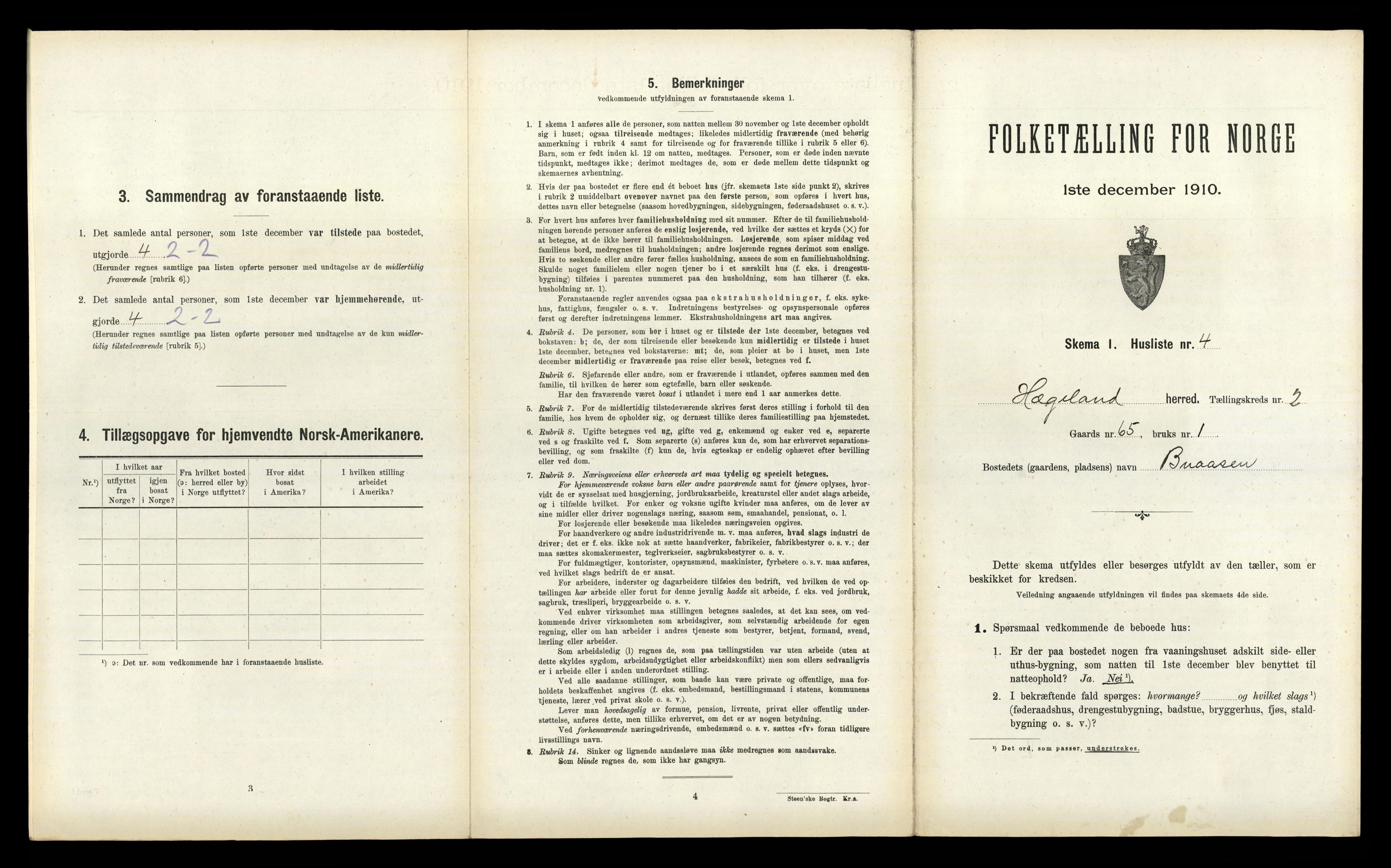 RA, 1910 census for Hægeland, 1910, p. 116