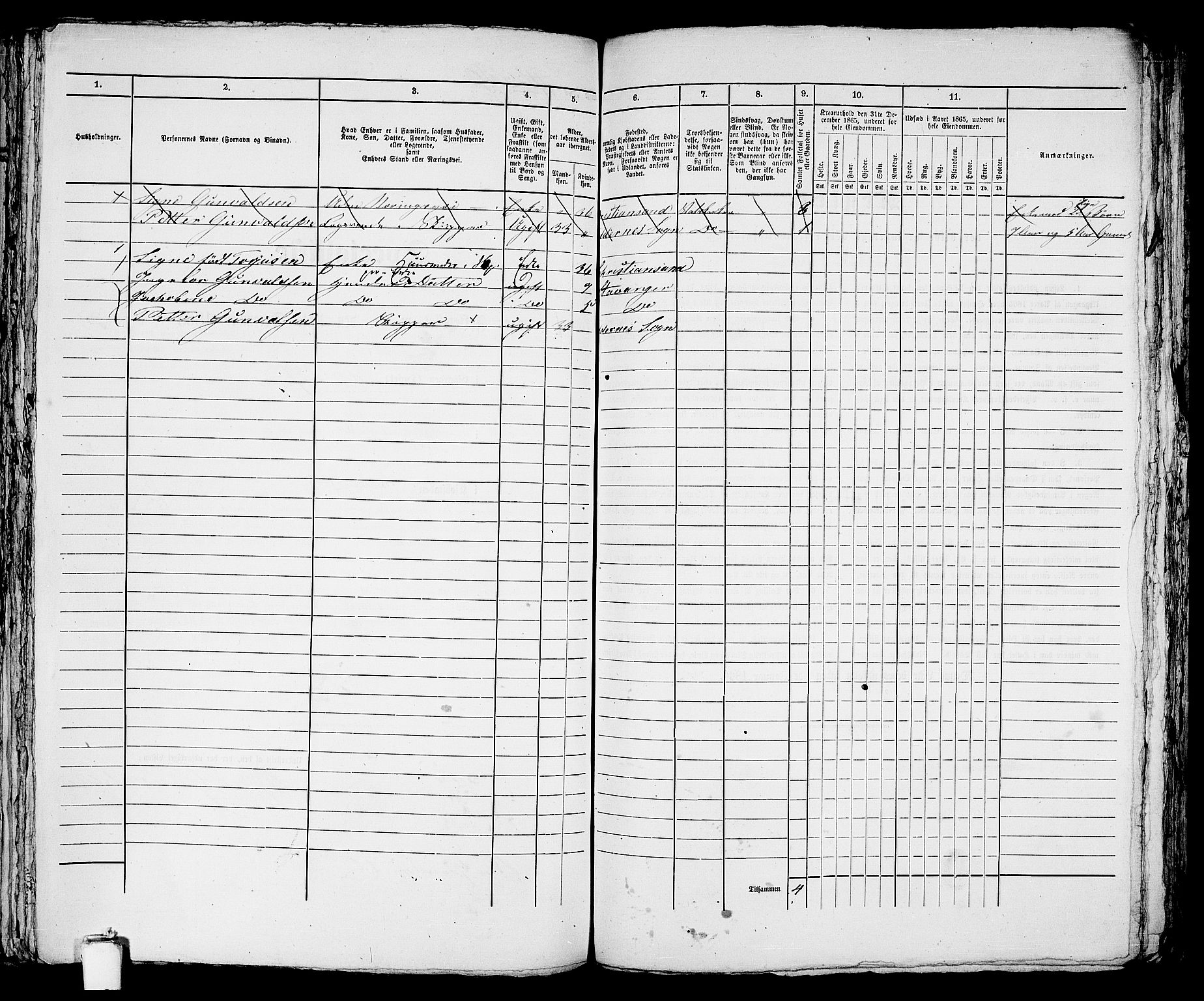 RA, 1865 census for Stavanger, 1865, p. 1315