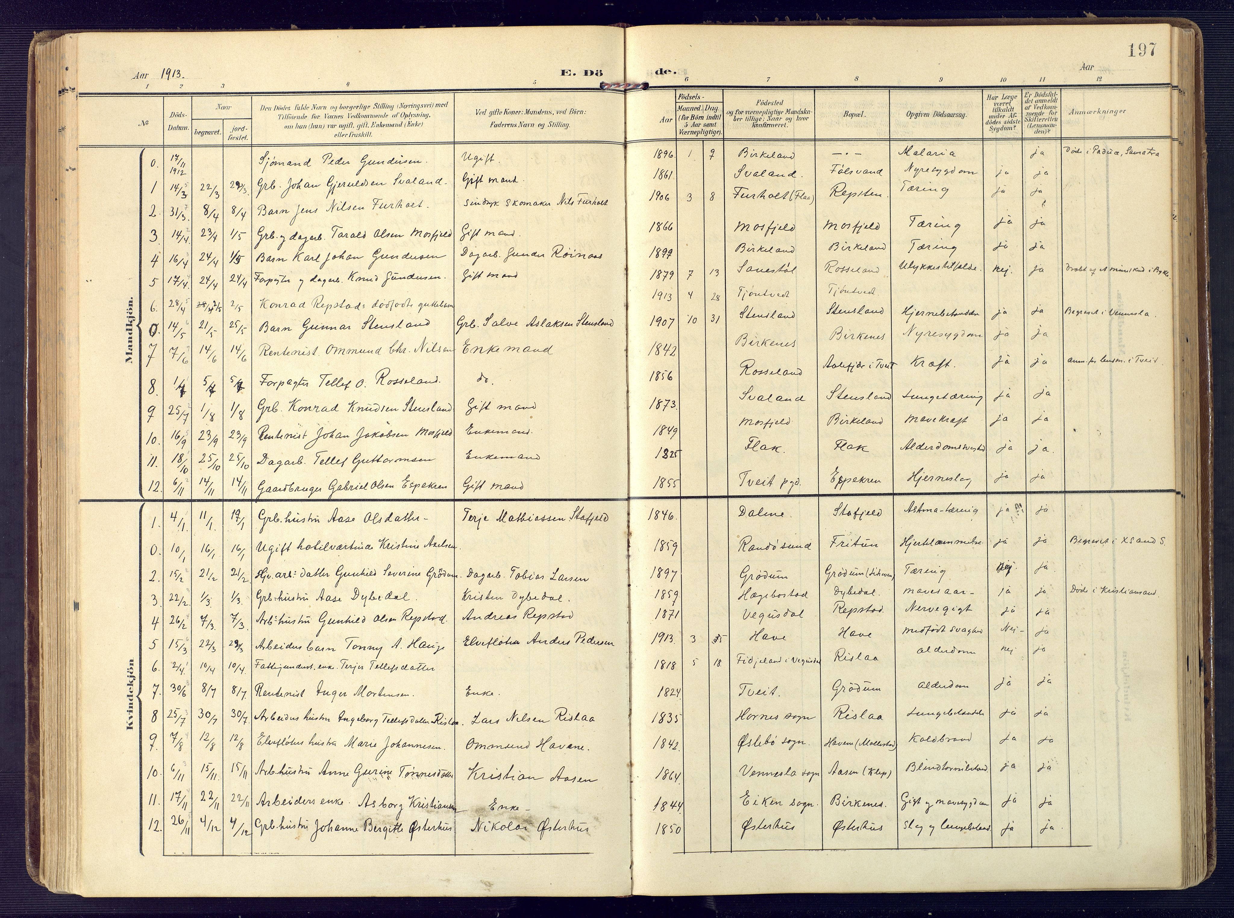 Birkenes sokneprestkontor, SAK/1111-0004/F/Fa/L0006: Parish register (official) no. A 6, 1908-1932, p. 197