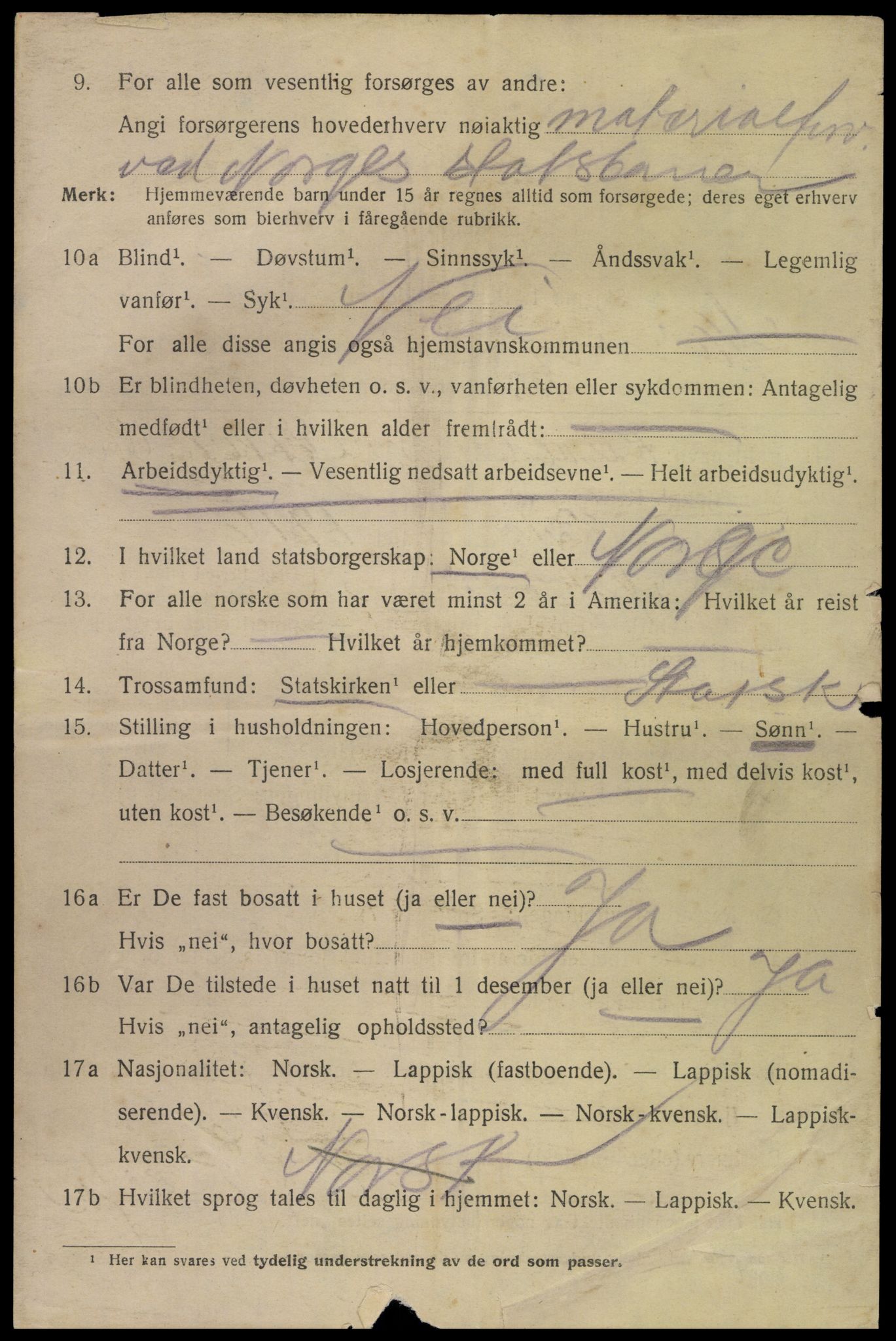 SAT, 1920 census for Narvik, 1920, p. 11741