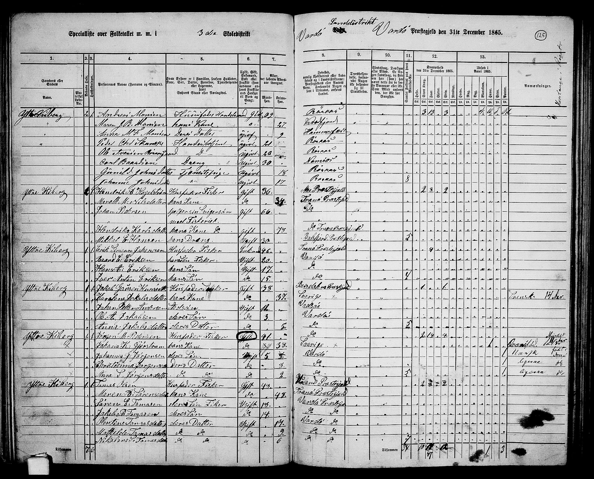 RA, 1865 census for Vardø/Vardø, 1865, p. 23