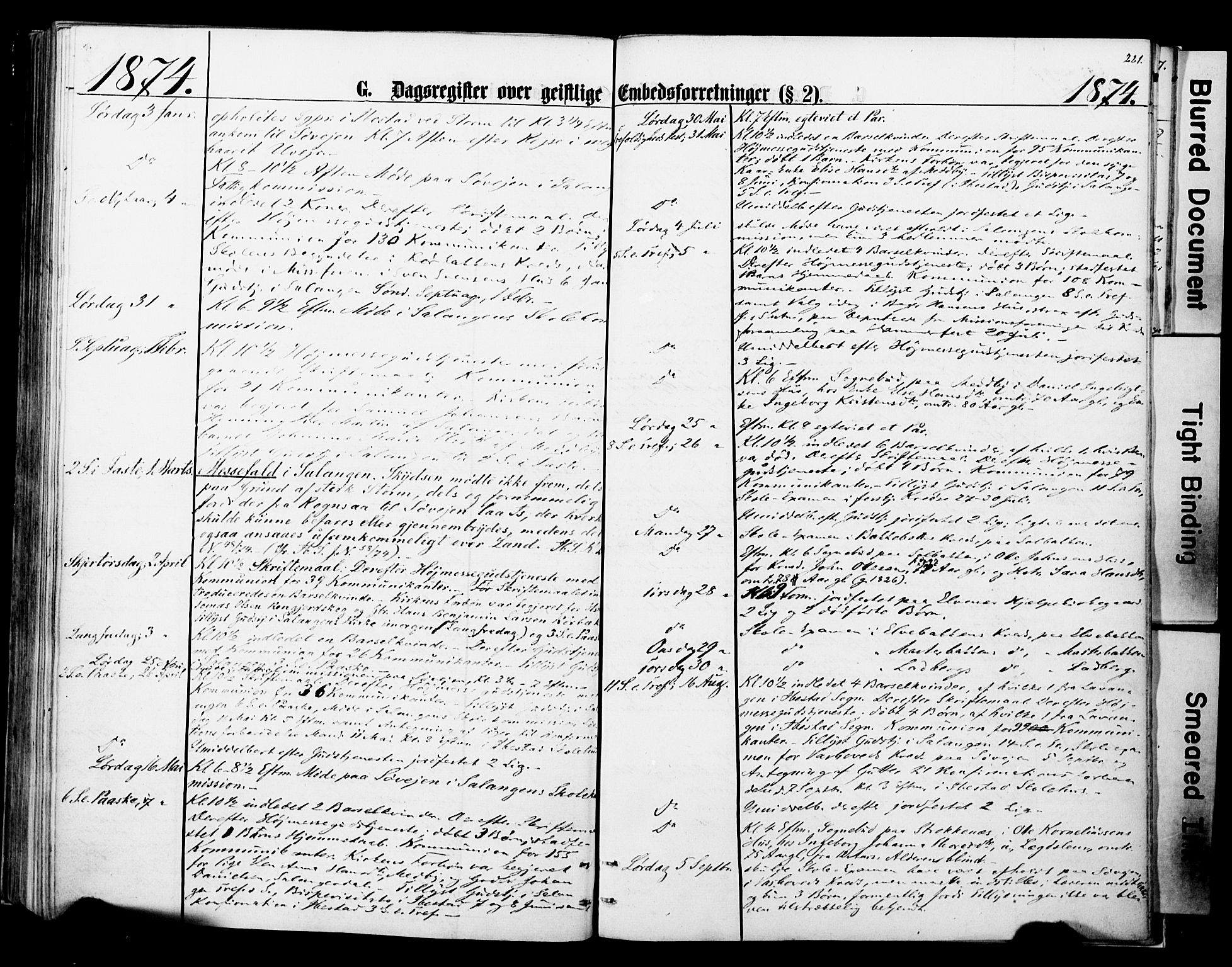 Ibestad sokneprestembete, SATØ/S-0077/H/Ha/Haa/L0013kirke: Parish register (official) no. 13, 1865-1879, p. 221
