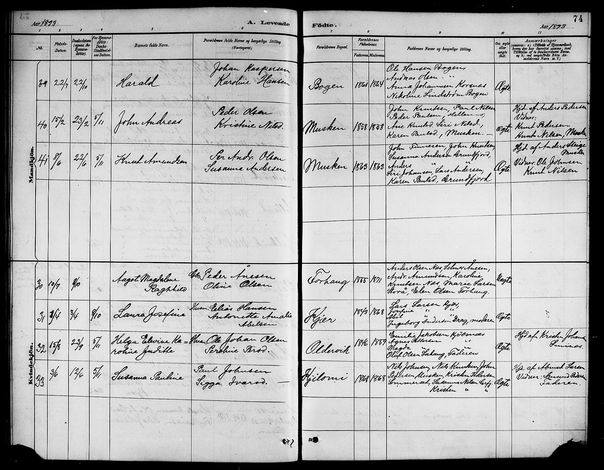 Ministerialprotokoller, klokkerbøker og fødselsregistre - Nordland, AV/SAT-A-1459/861/L0876: Parish register (copy) no. 861C02, 1887-1903, p. 74