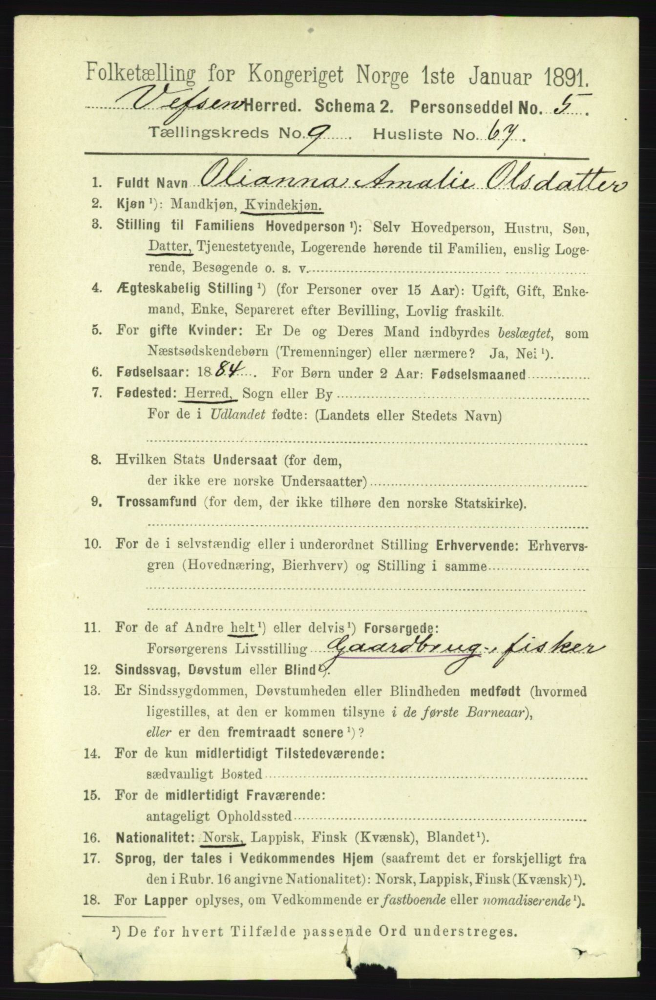 RA, 1891 census for 1824 Vefsn, 1891, p. 5133