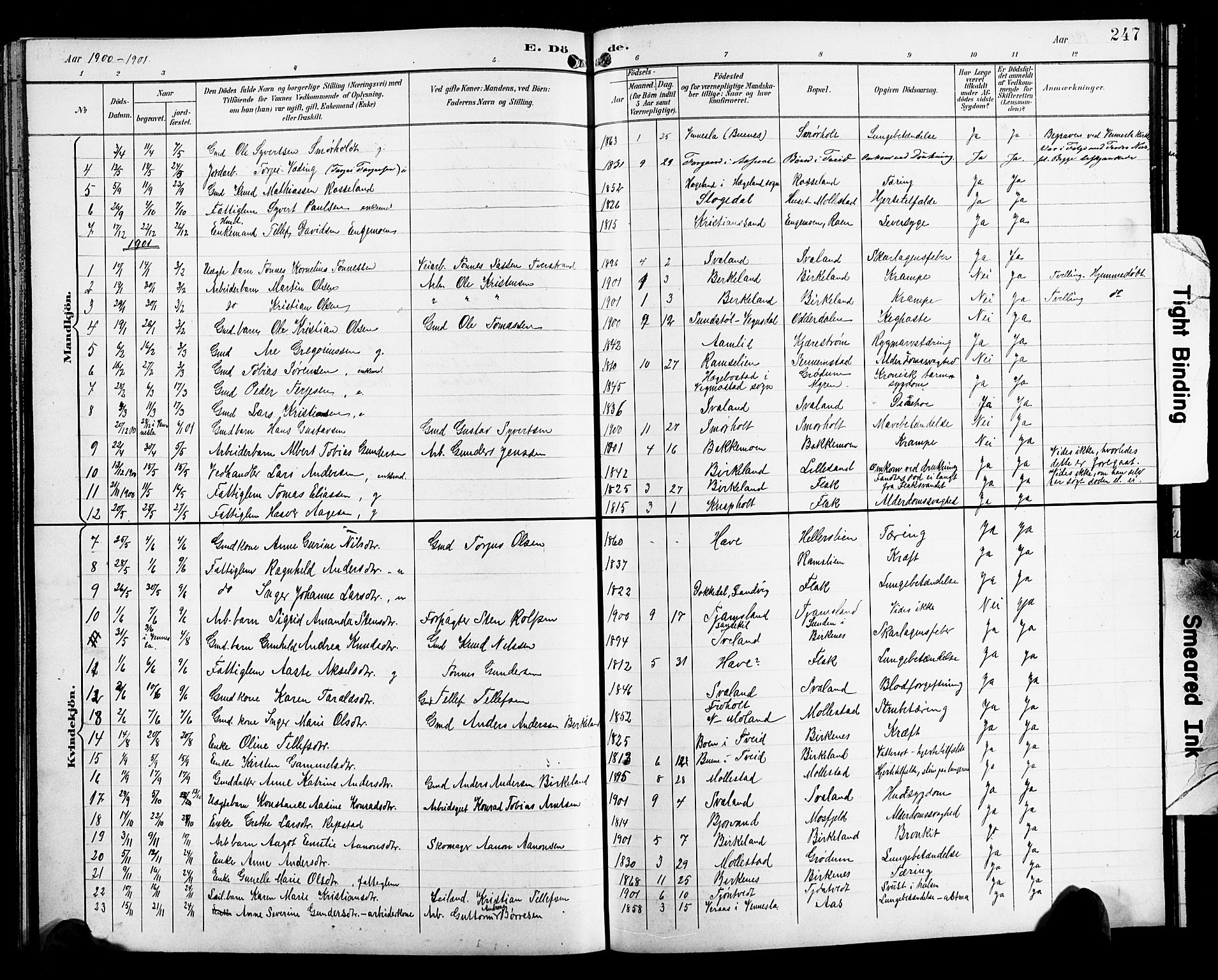 Birkenes sokneprestkontor, SAK/1111-0004/F/Fb/L0004: Parish register (copy) no. B 4, 1893-1930, p. 247